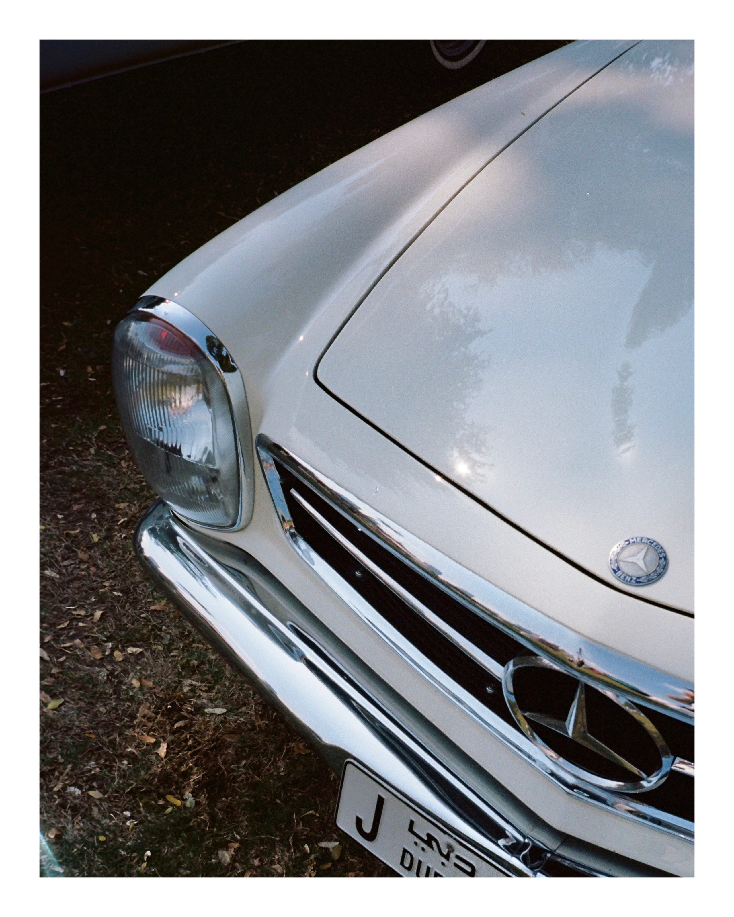 The Grand Picnic (35мм). Katyavasileva