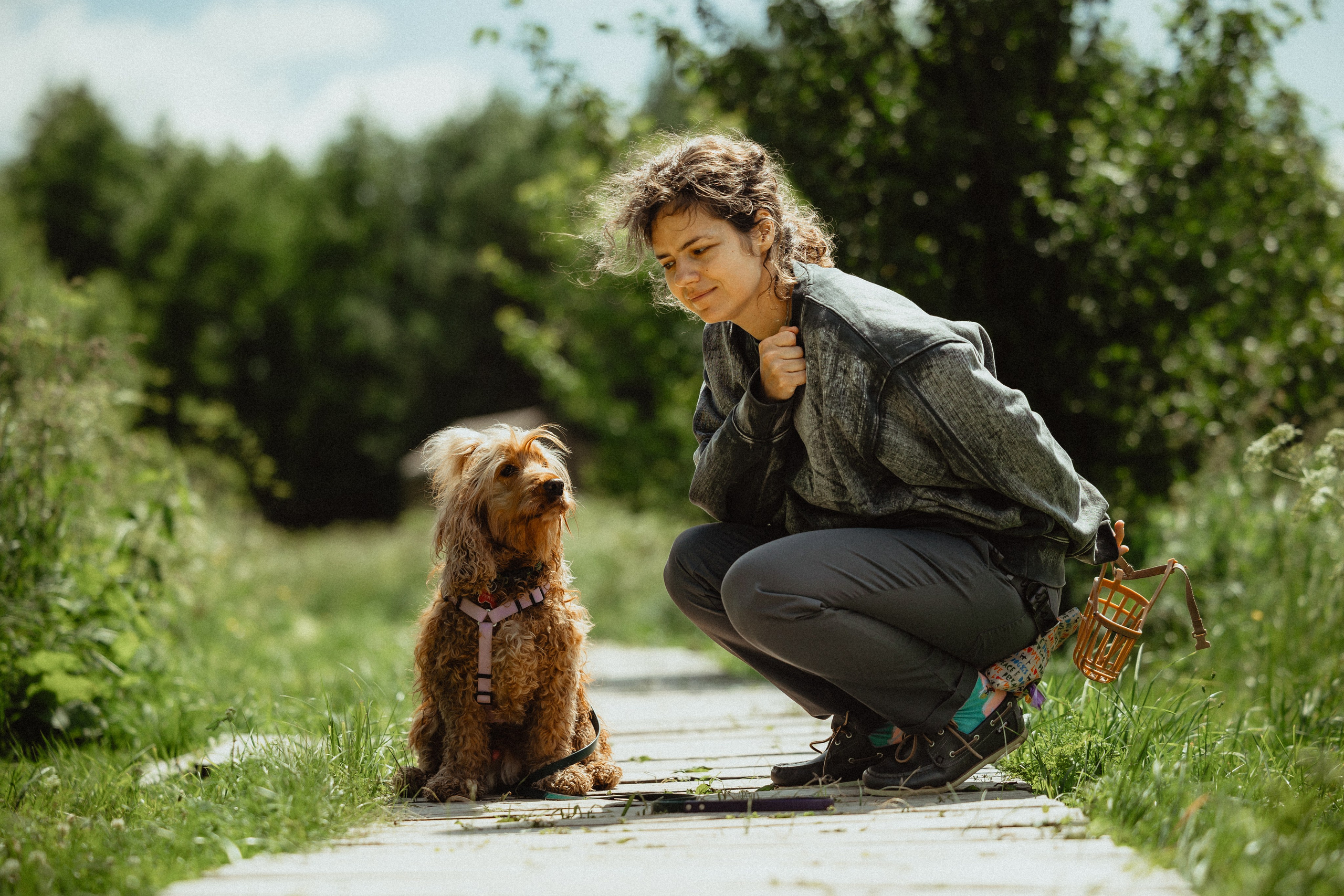 Выездной дог-тренинг от школы «Шерсть имею»