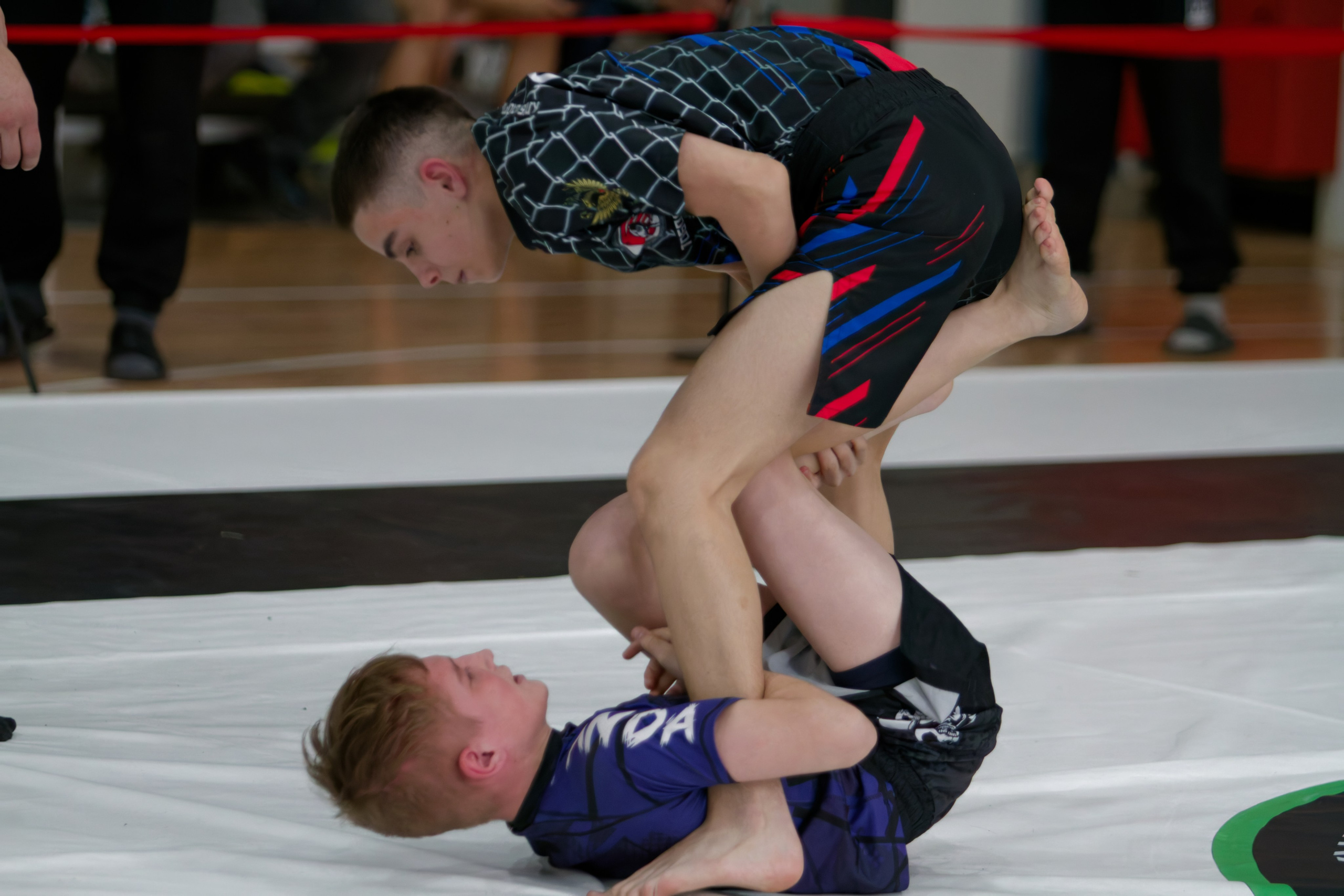 Борьба. Джиу-джитсу 26.04.2025. Репортажный и спортивный фотограф в г. Пермь Зильберг Павел