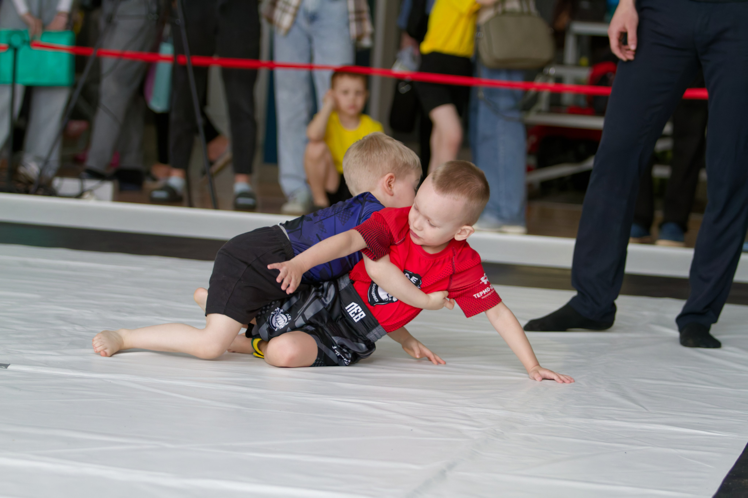 Борьба. Джиу-джитсу 26.04.2025. Репортажный и спортивный фотограф в г. Пермь Зильберг Павел