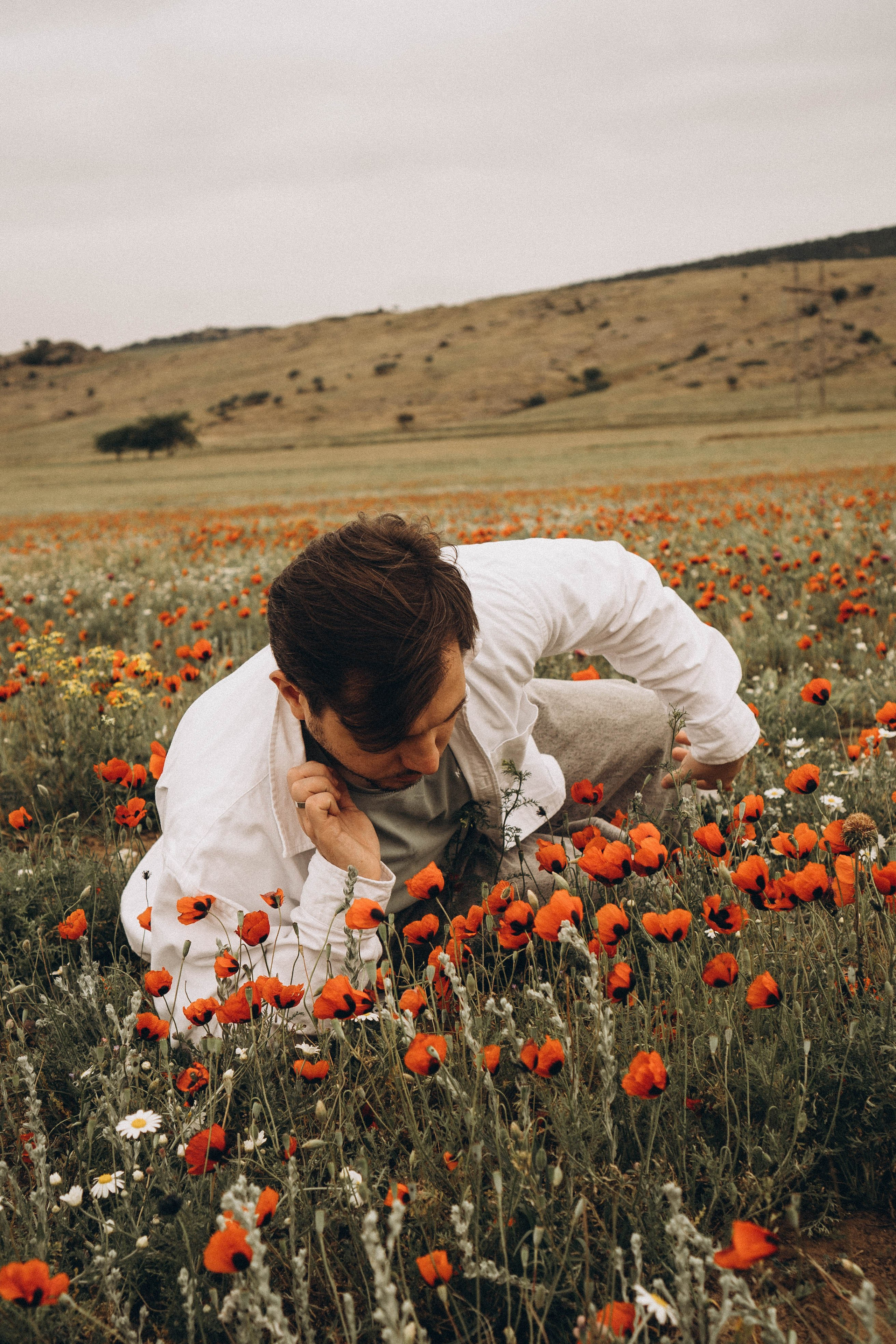 Маки. Профессиональный фотограф, Санкт-Петербург — Виктория Богомолова