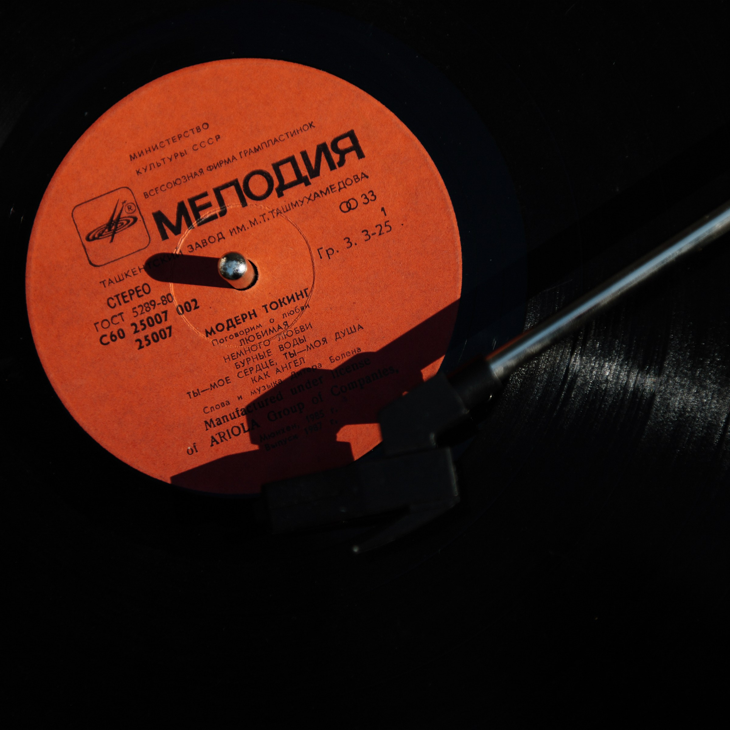 Gucci colors. Свадебный фотограф Саша Базенко