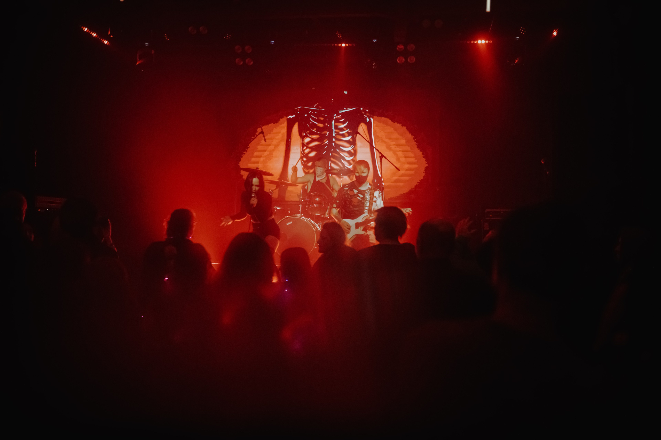 THE KAT IS DEAD. Фотограф Елена Богачева (lenalena_na_na_na)