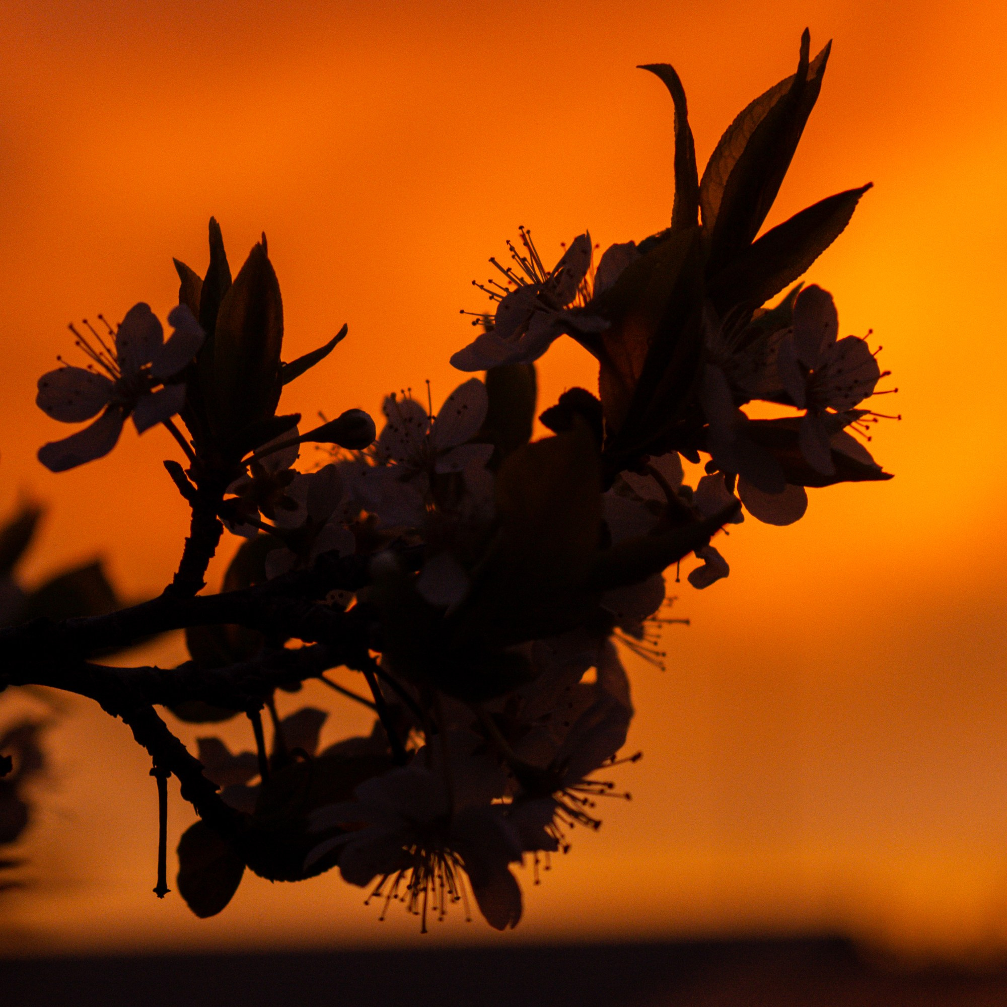 Разное. Репортажный фотограф г. Чита
