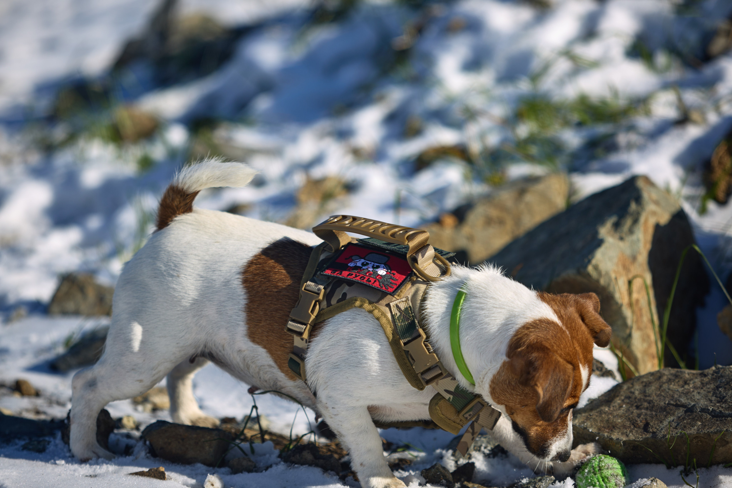 Лети Спасатель. Buyvolenko Andrey