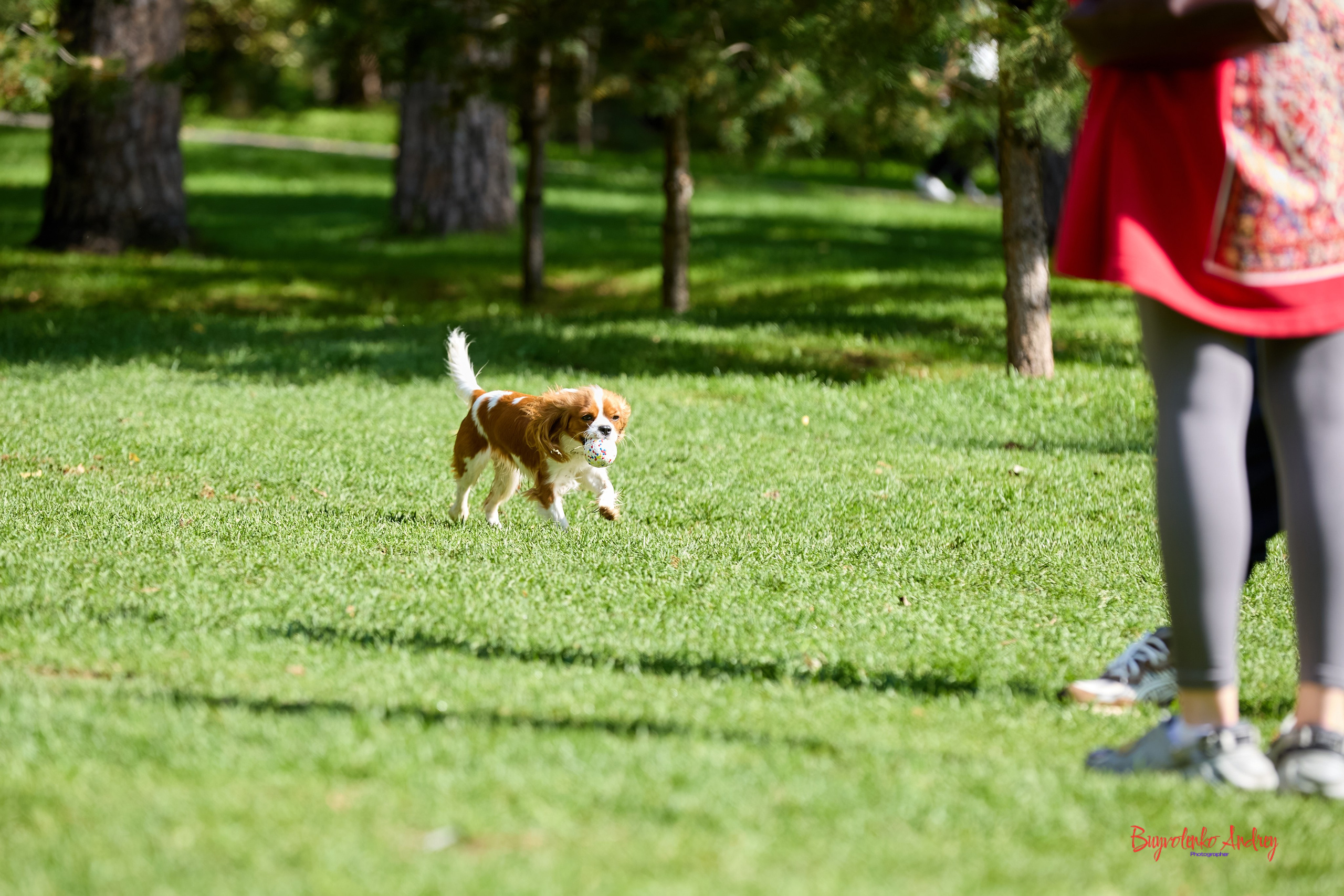 Фотопрогулка с кавалерами. Buyvolenko Andrey
