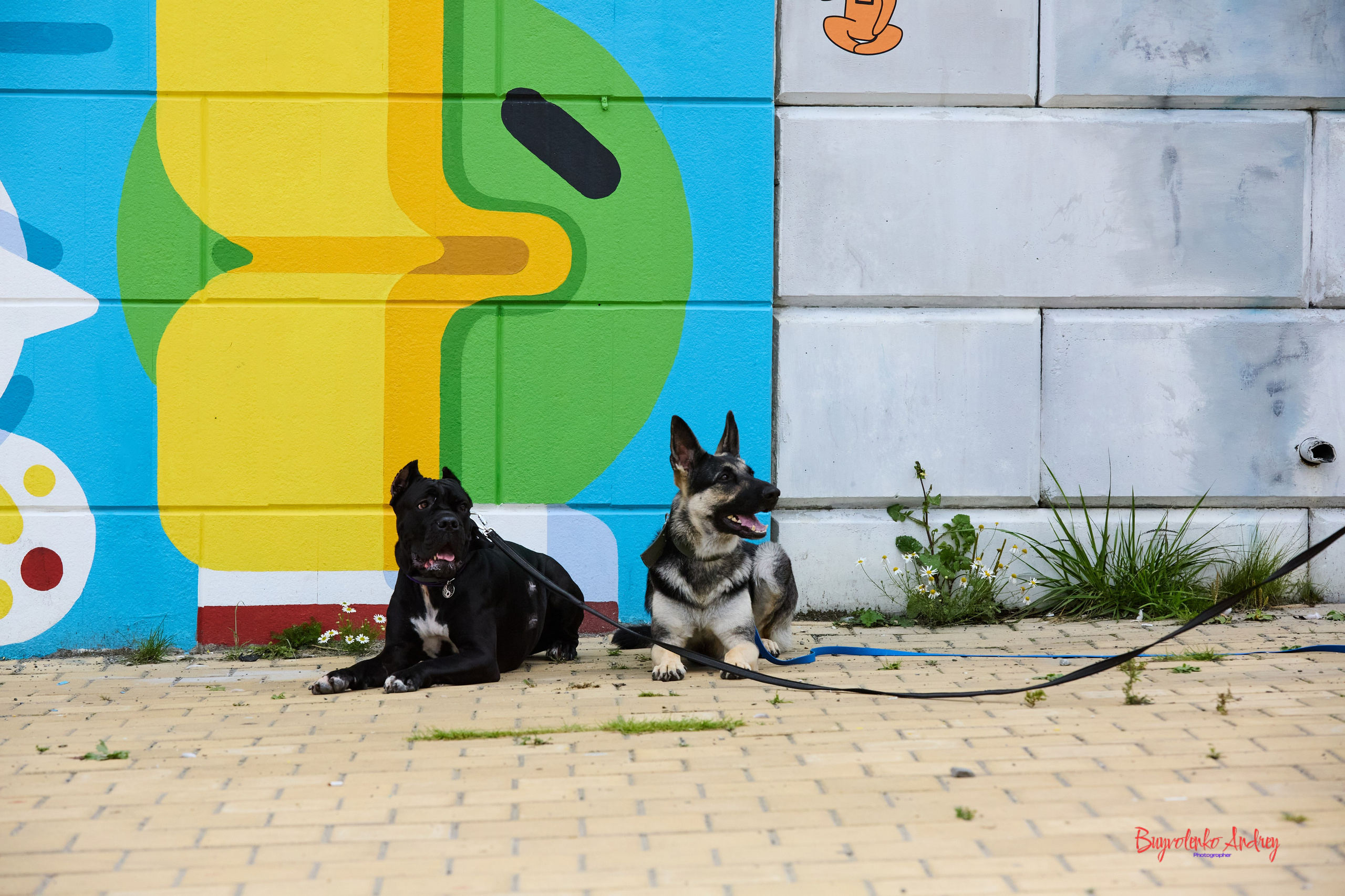 Проект фотопрогулка с хвостиком. Buyvolenko Andrey