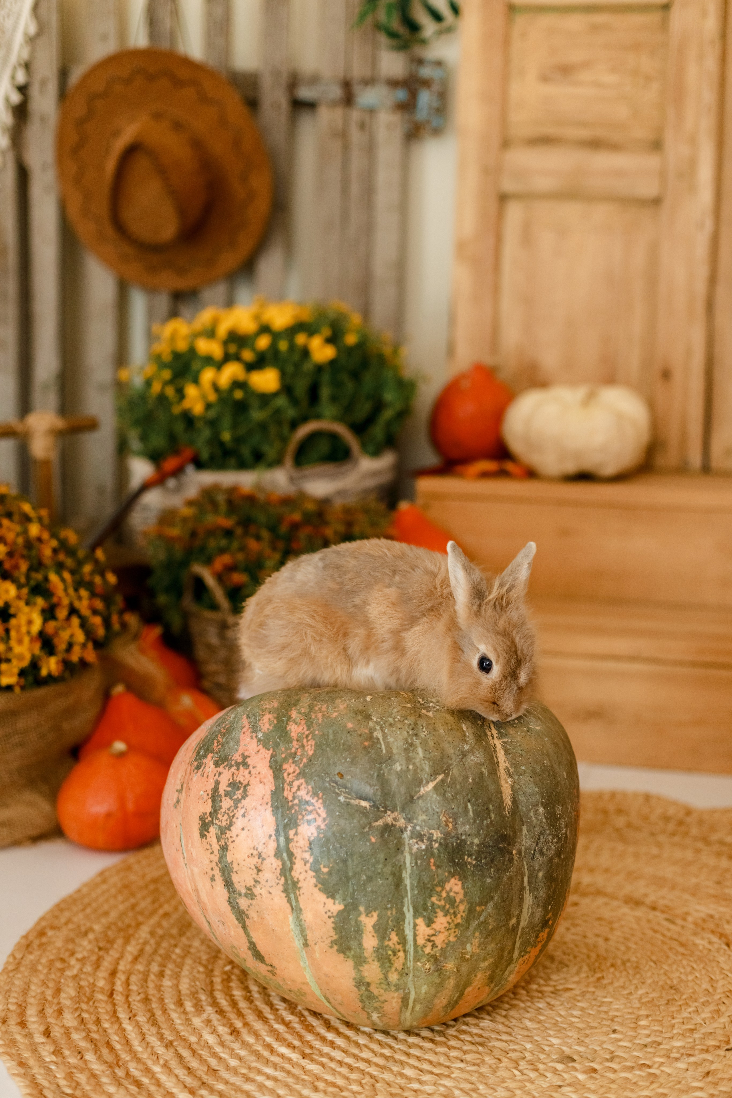 Осень 2024. Детский и семейный фотограф в Краснодаре Альбина Морозова