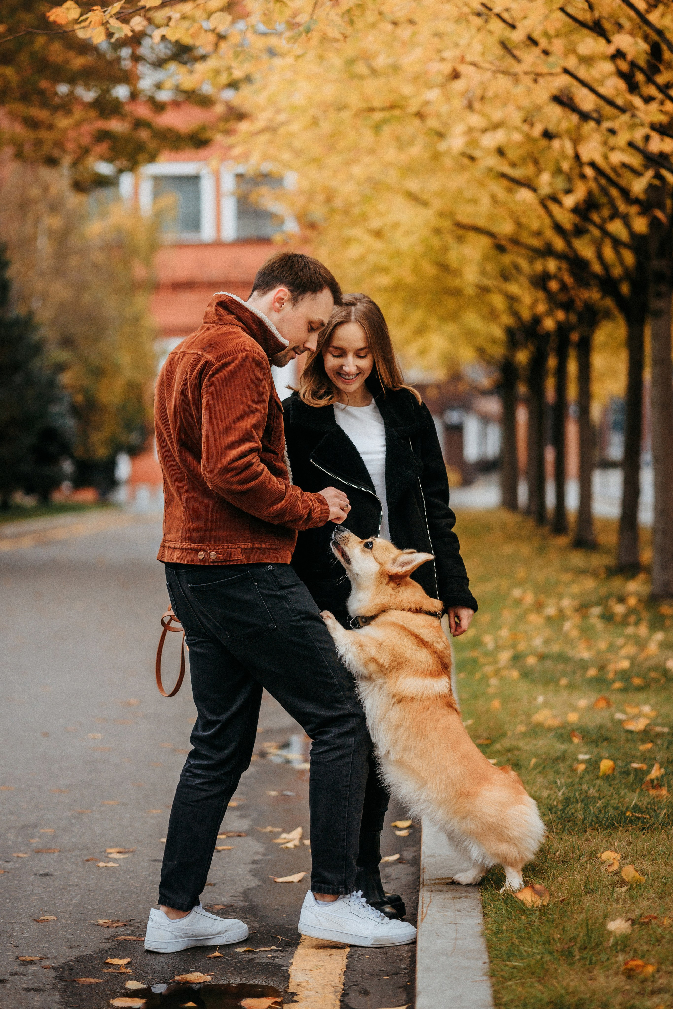 Вера, Саша и Муна. Фотограф-анималист Елена Радченко, Москва