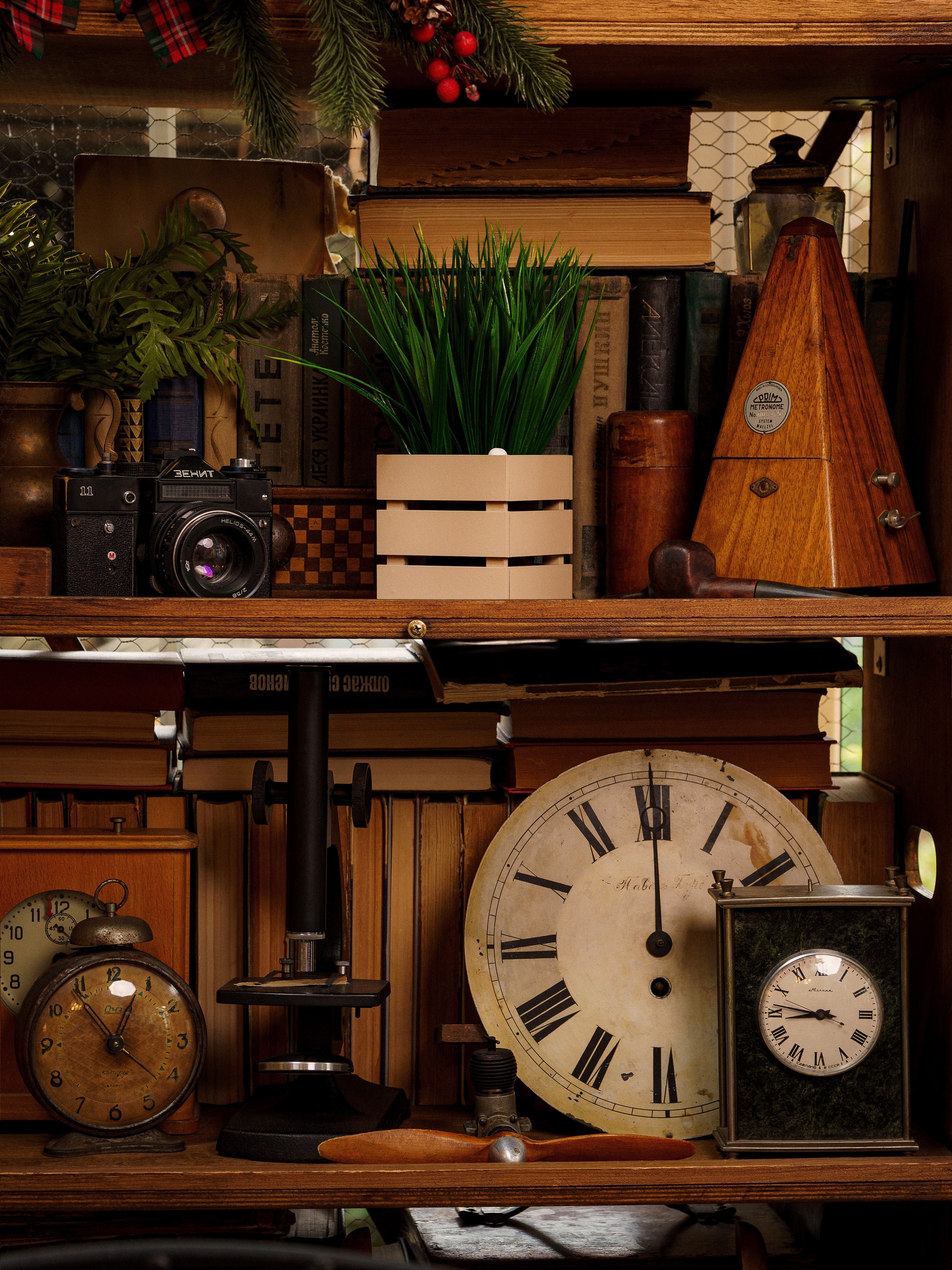 Кашпо. Макаров Сергей|Creamlebot Фотограф города Ростов-на-Дону