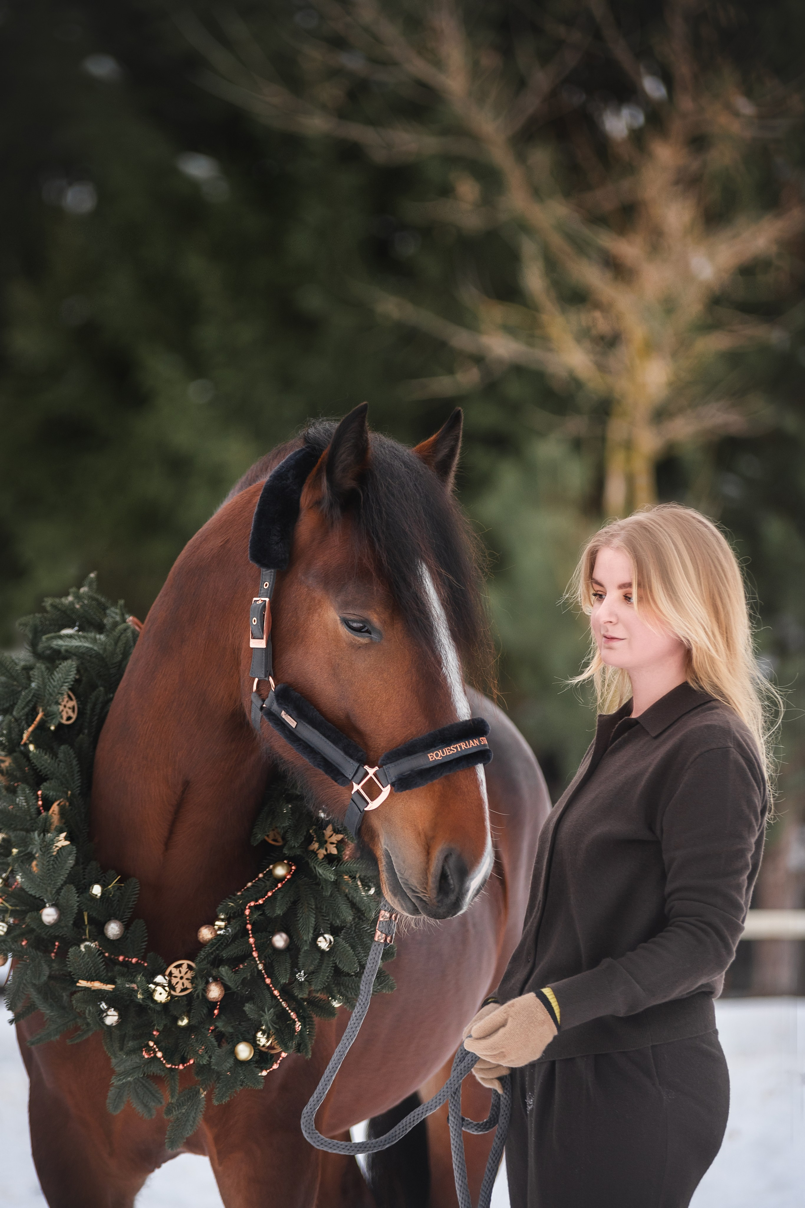 Новогодний Волконский. Конный фотограф Куракина Дарья • Фотосессии с лошадьми