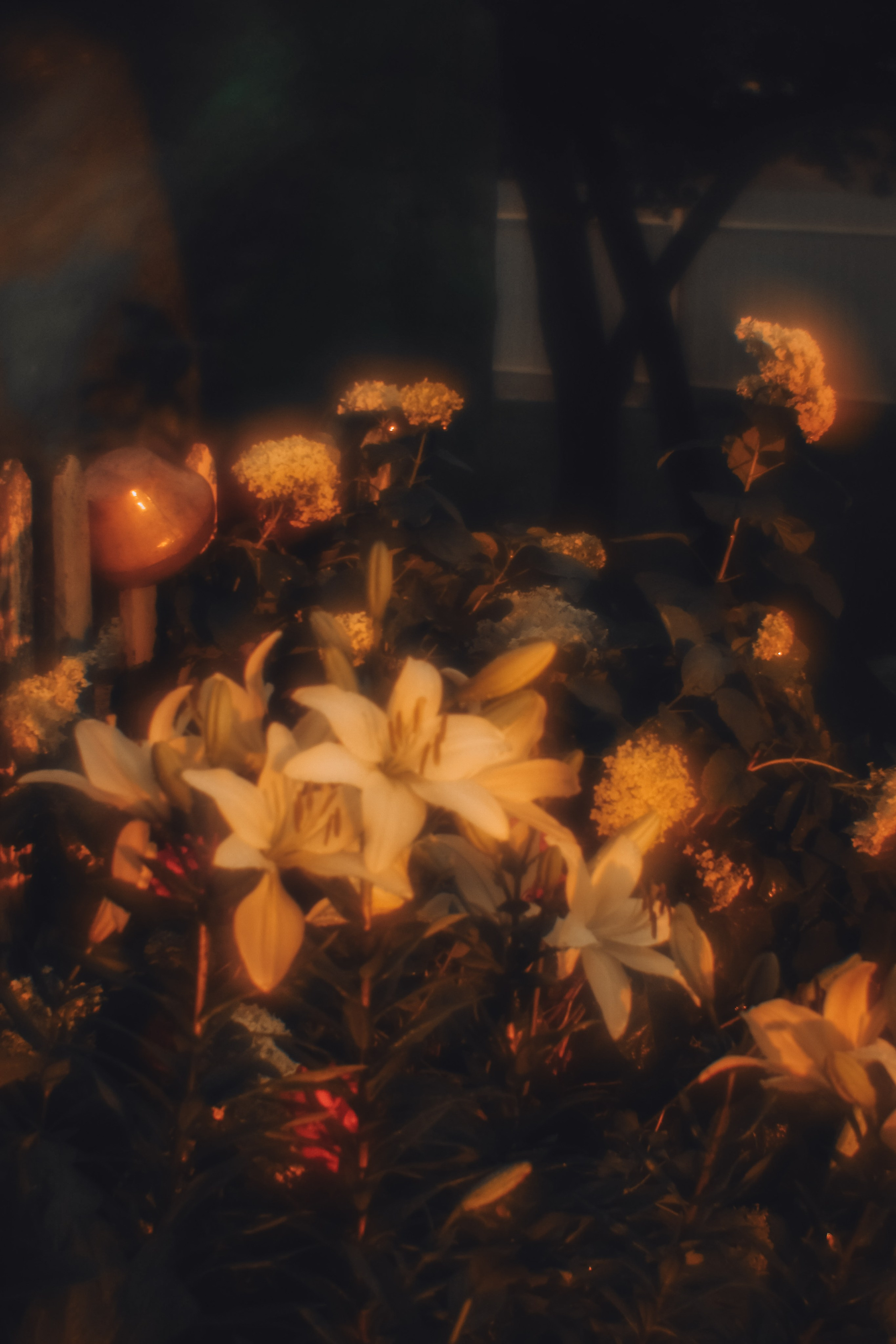 Пикториальный альбом. Семейный LIFESTYLE фотограф в Москве