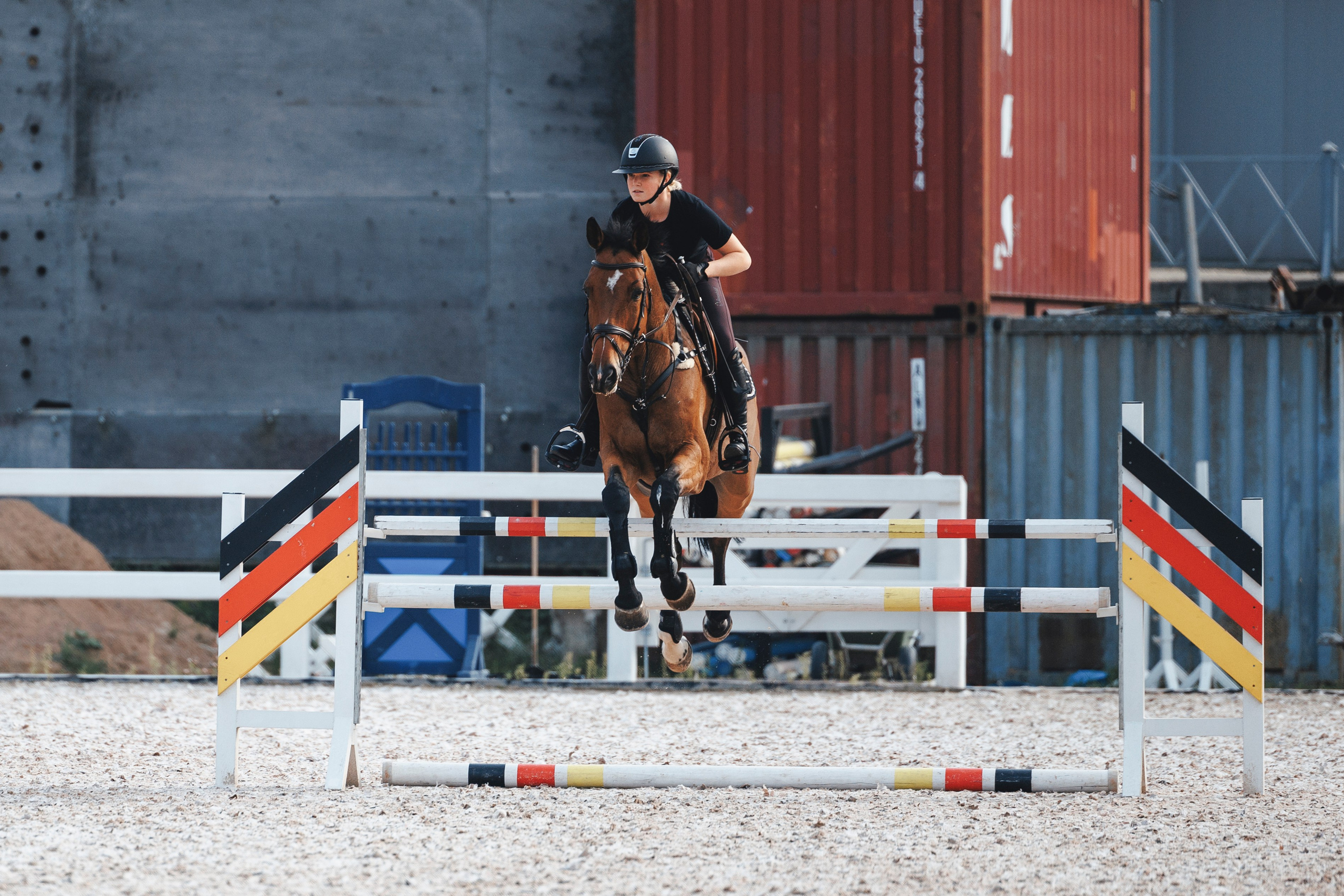 Конкур. Фотограф-анималист Анна Маринич