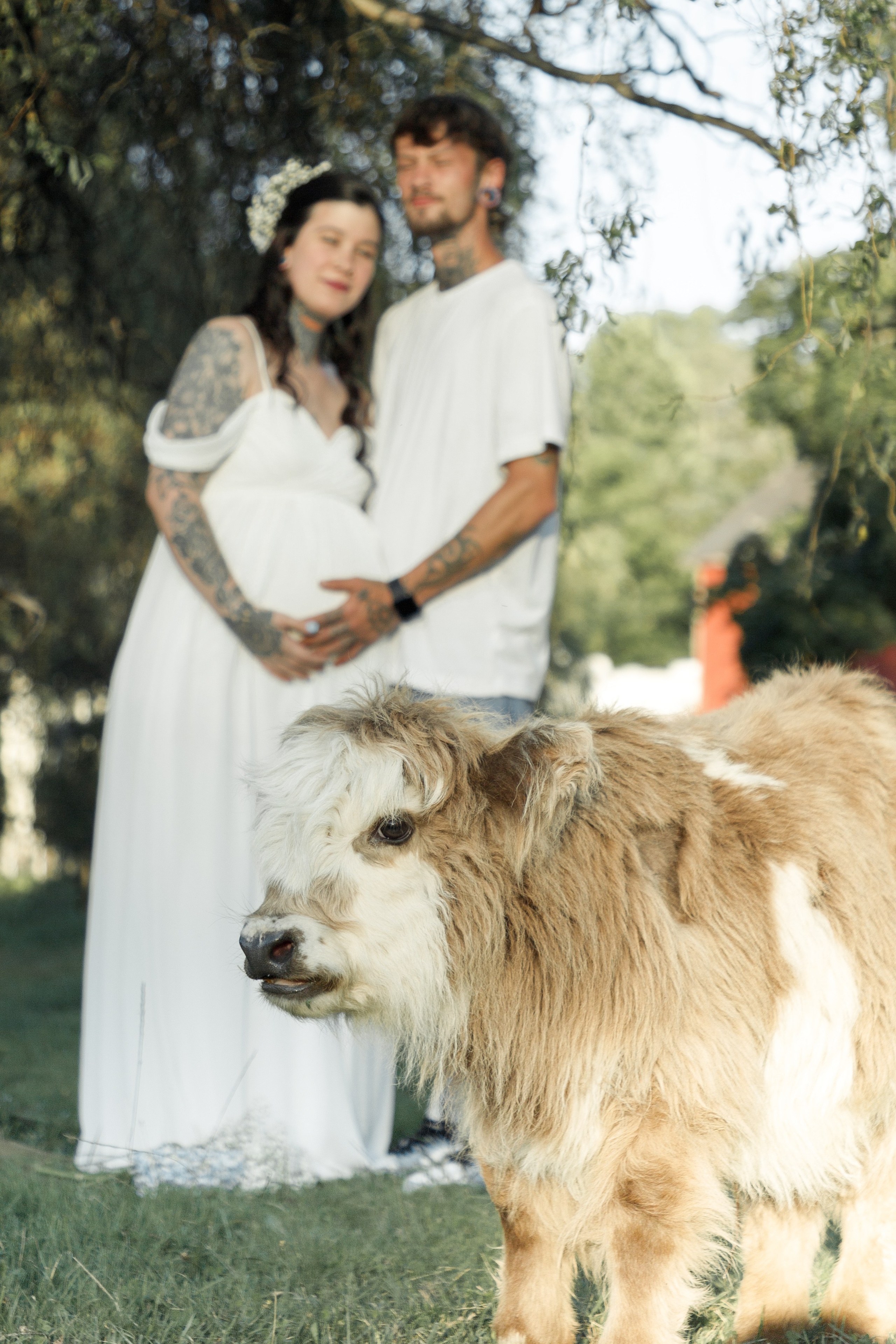 Maternity. Family photographer in Eastern Pennsylvania, Inna Nairn