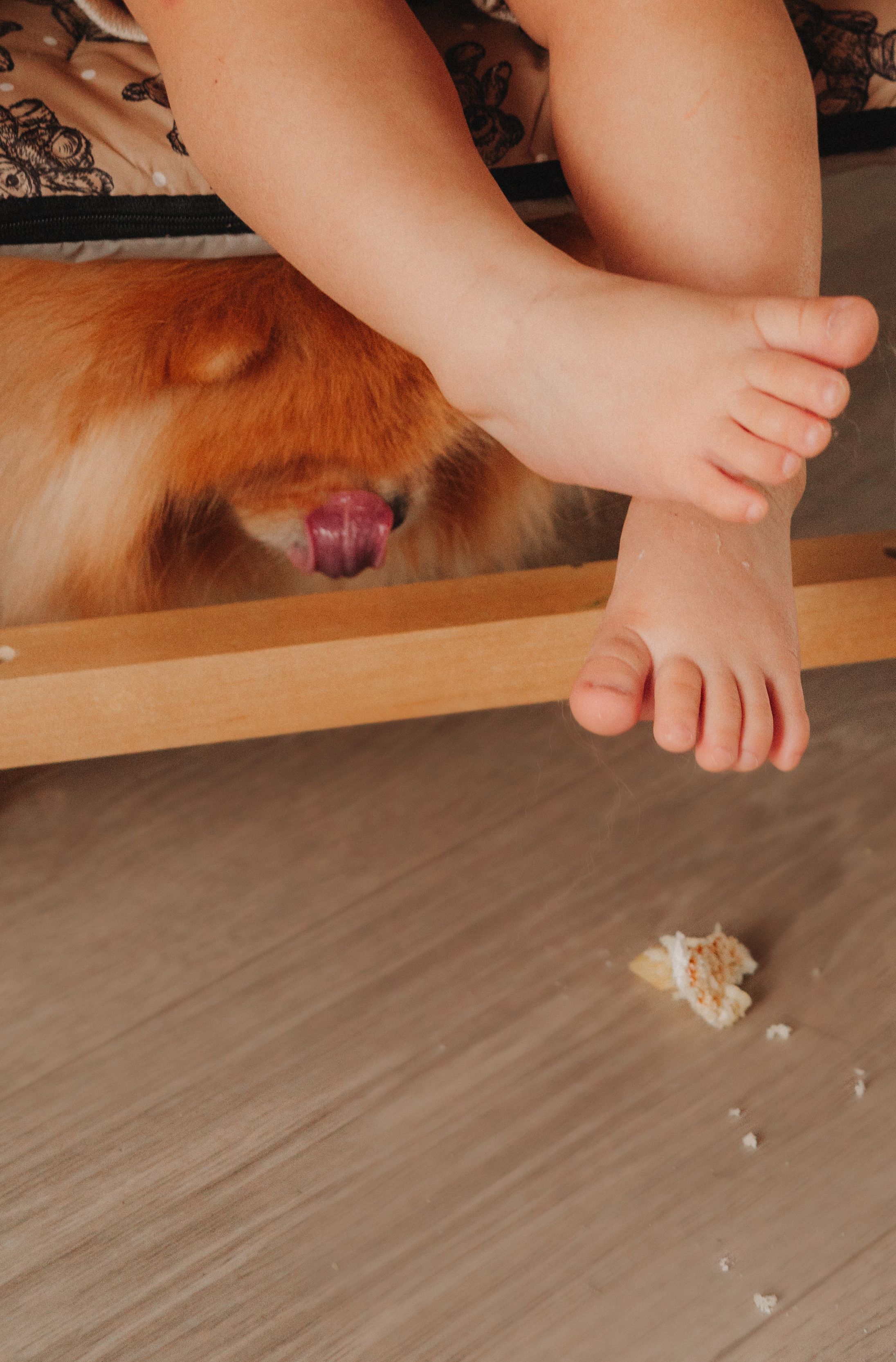 Детский фотограф в биробиджане. Детский и семейный фотограф  Биробиджан Оля Светагор