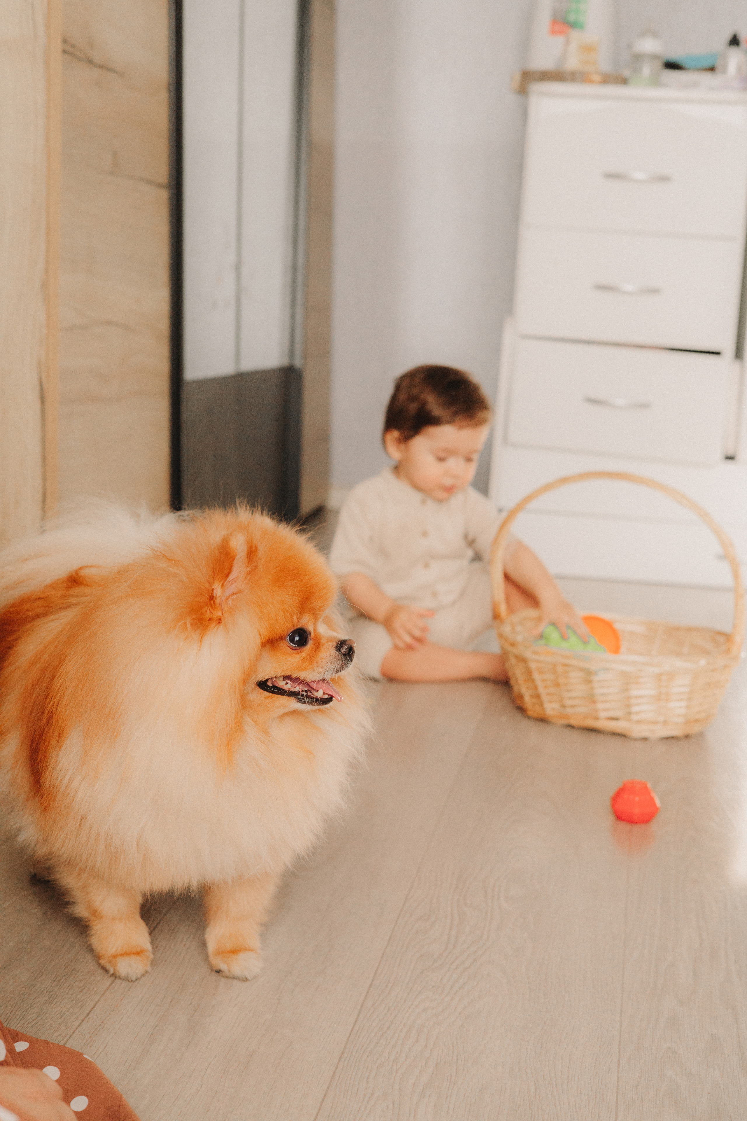 Детский фотограф в биробиджане. Детский и семейный фотограф  Биробиджан Оля Светагор