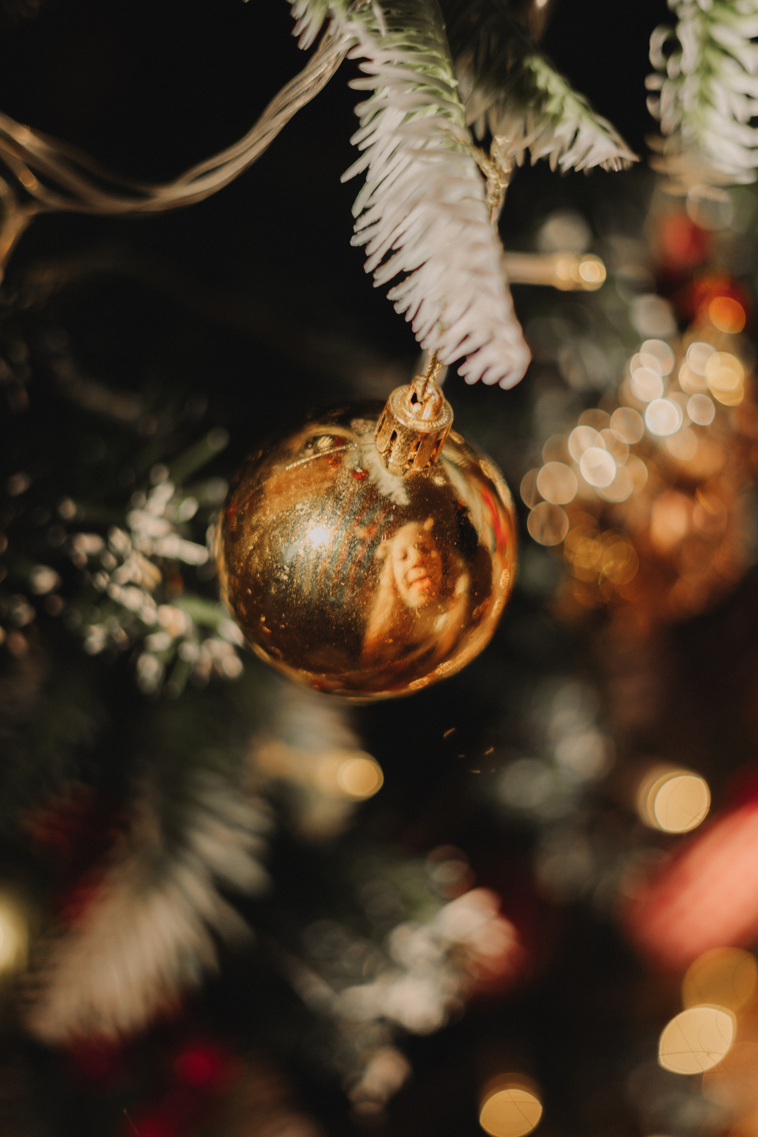 Лучший фотограф. Детский и семейный фотограф  Биробиджан Оля Светагор