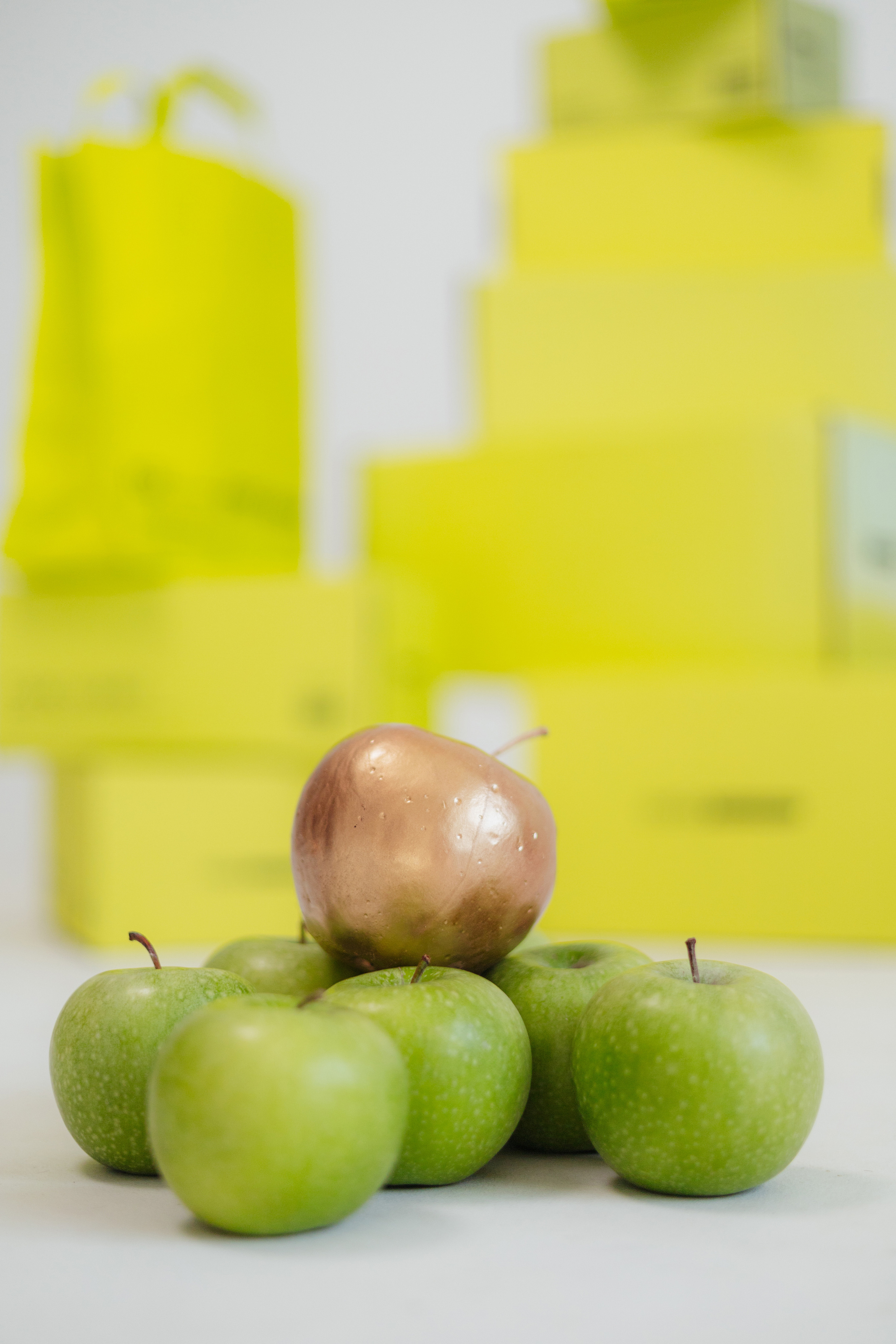 Фотограф биробиджан. Детский и семейный фотограф  Биробиджан Оля Светагор