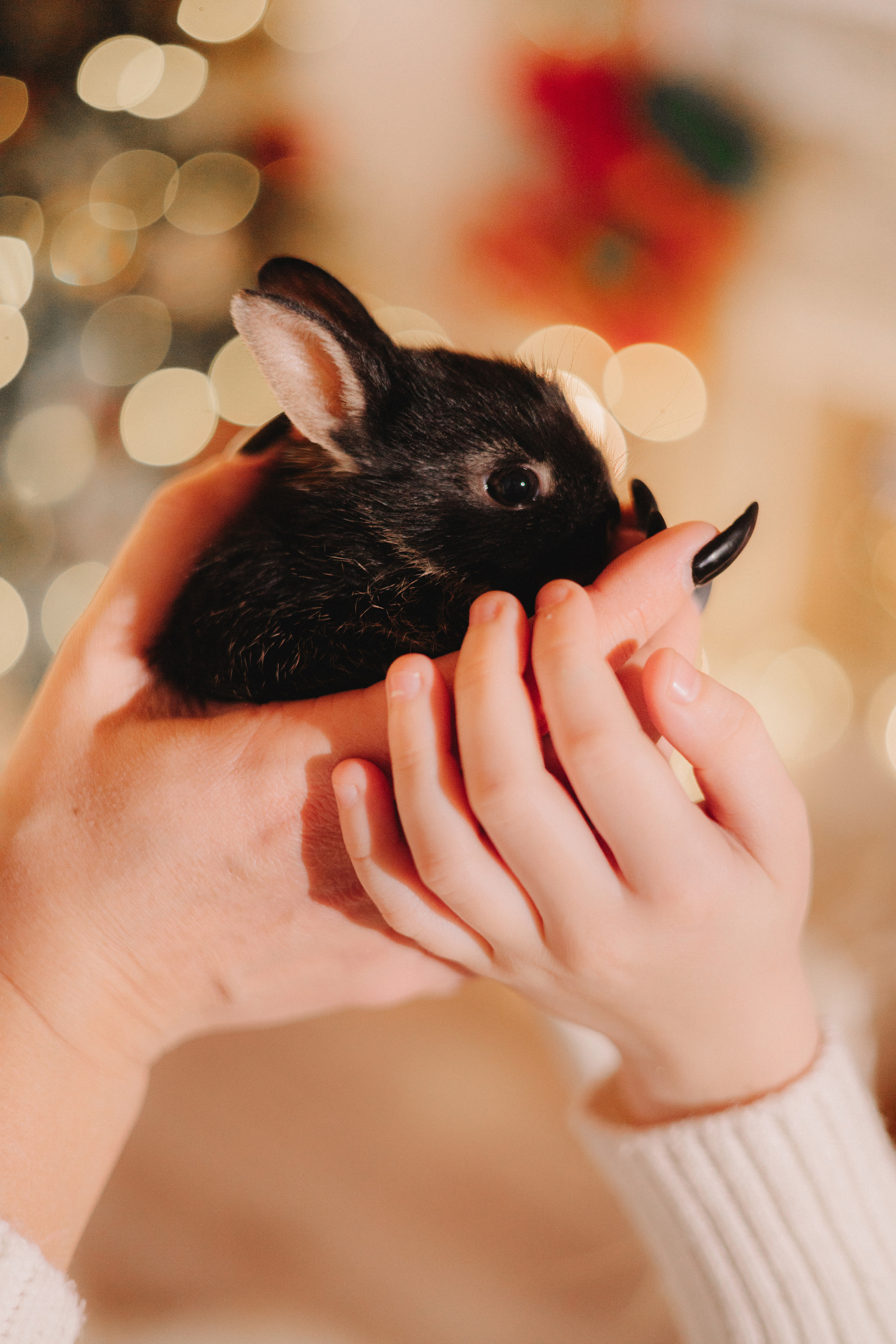 Лучший фотограф. Детский и семейный фотограф  Биробиджан Оля Светагор