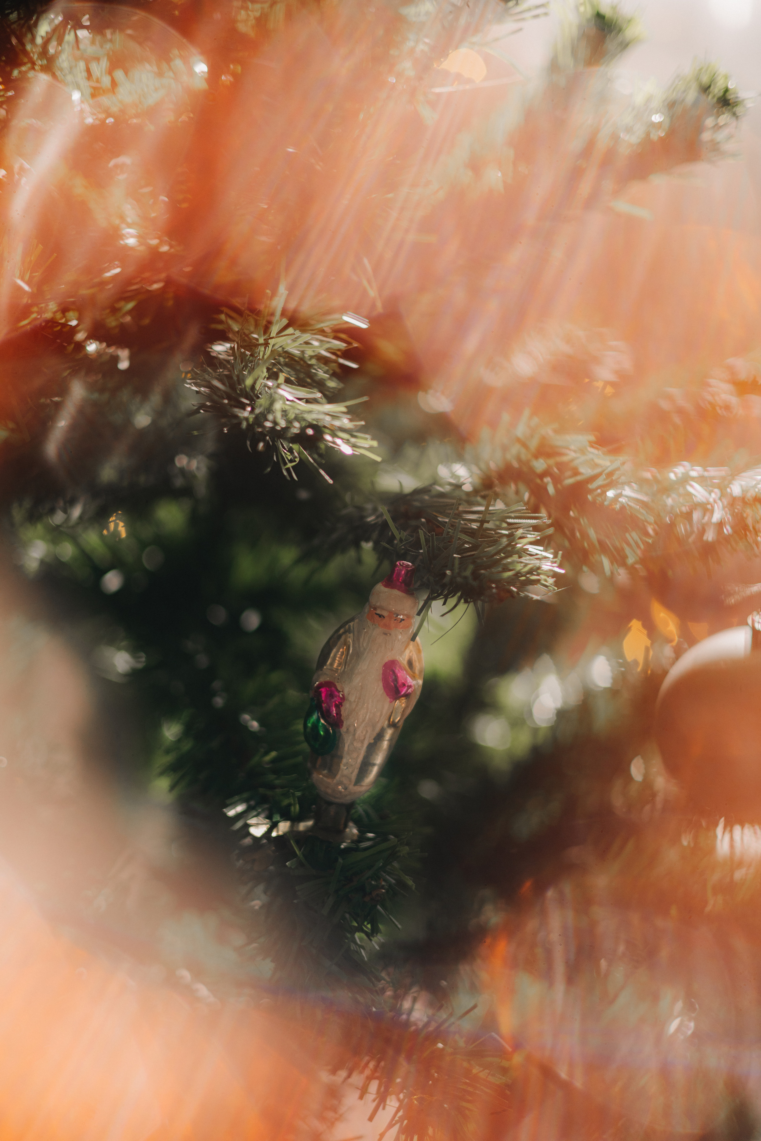 Фотограф. Детский и семейный фотограф  Биробиджан Оля Светагор