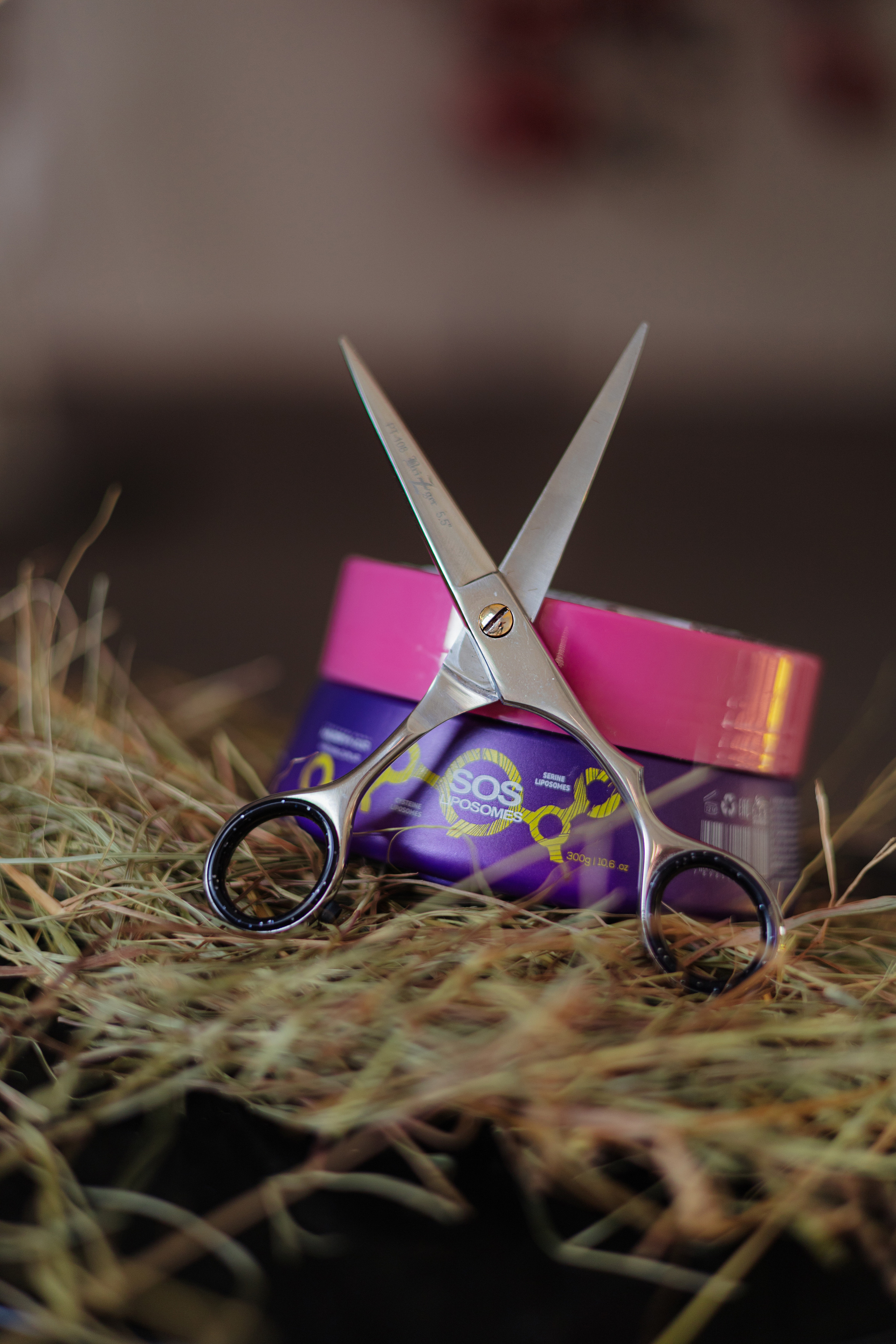 Фотограф биробиджан. Детский и семейный фотограф  Биробиджан Оля Светагор