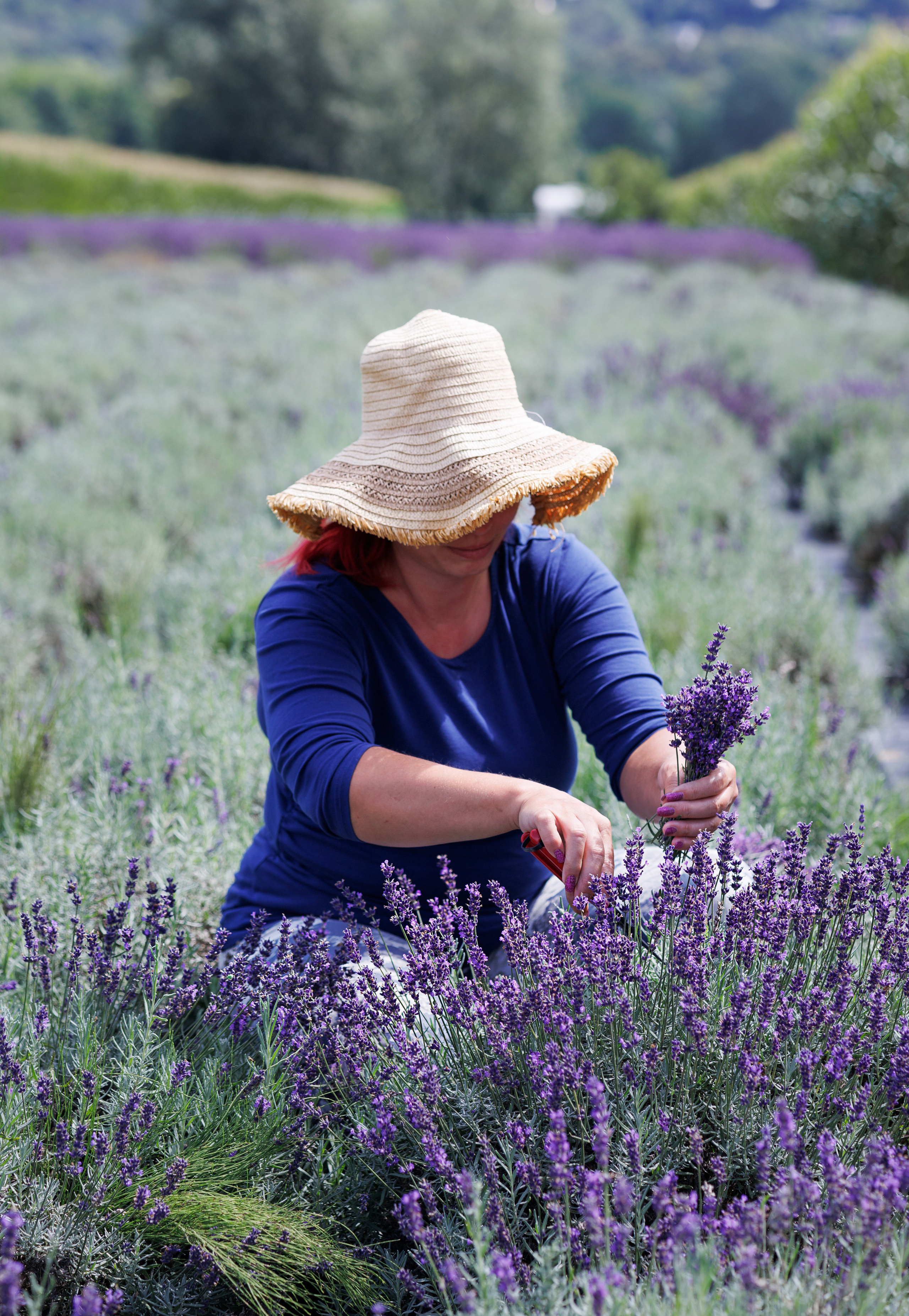 Лавандовый бизнес. Портретная и индивидуальная фотосъёмка в Граце и Тюмени