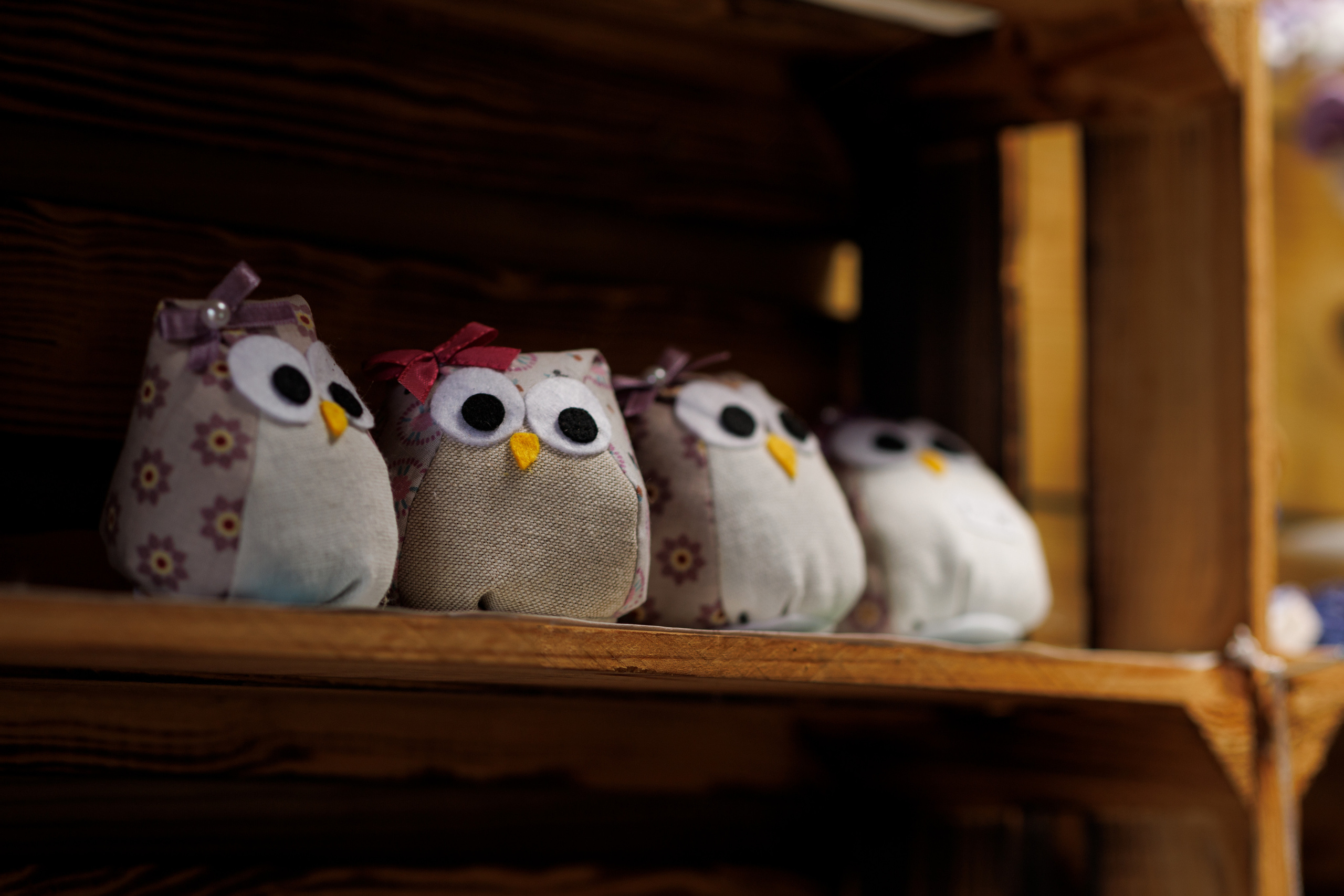 Лавандовый бизнес. Портретная и индивидуальная фотосъёмка в Граце и Тюмени