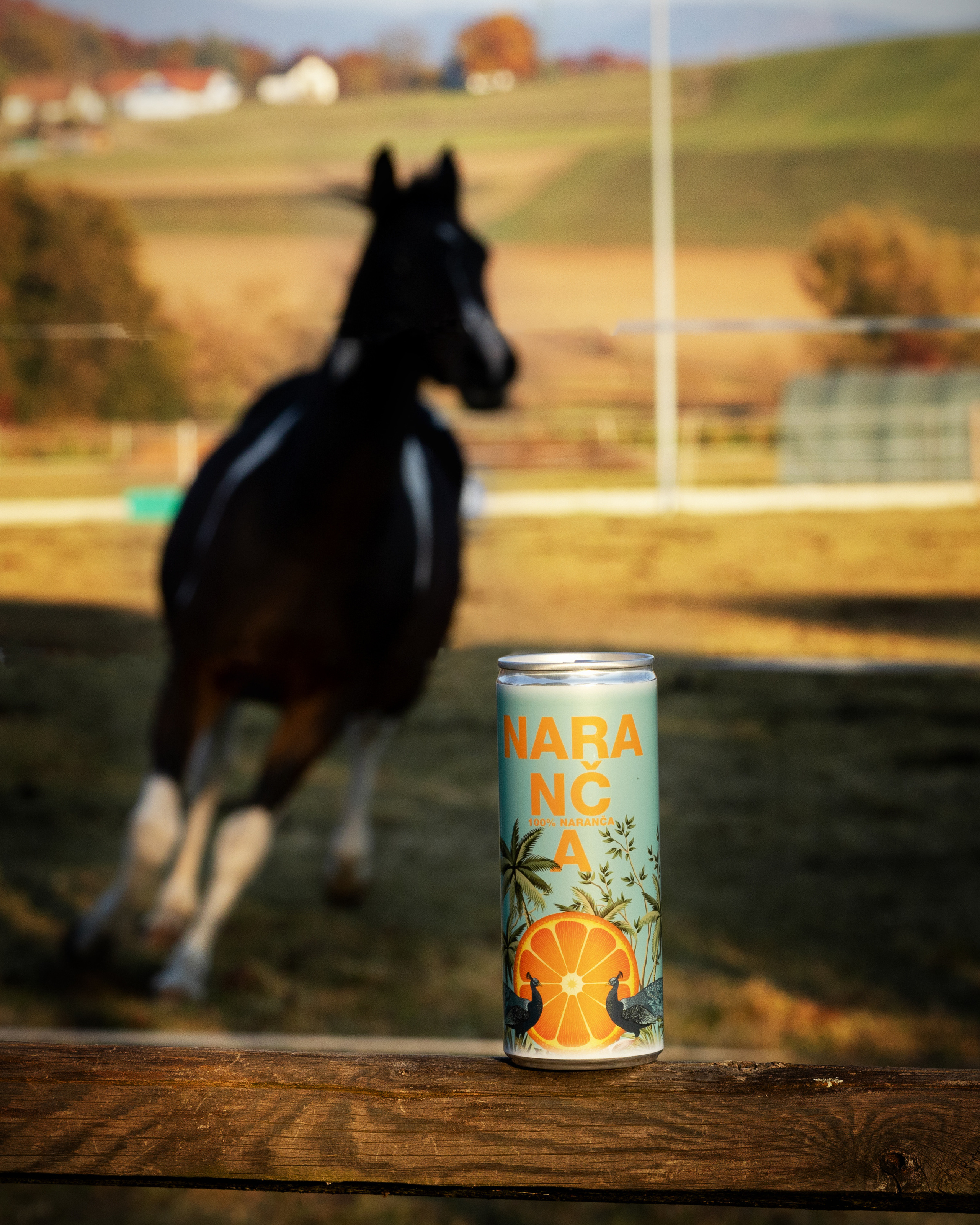 Напитки. Портретная и индивидуальная фотосъёмка в Граце и Тюмени