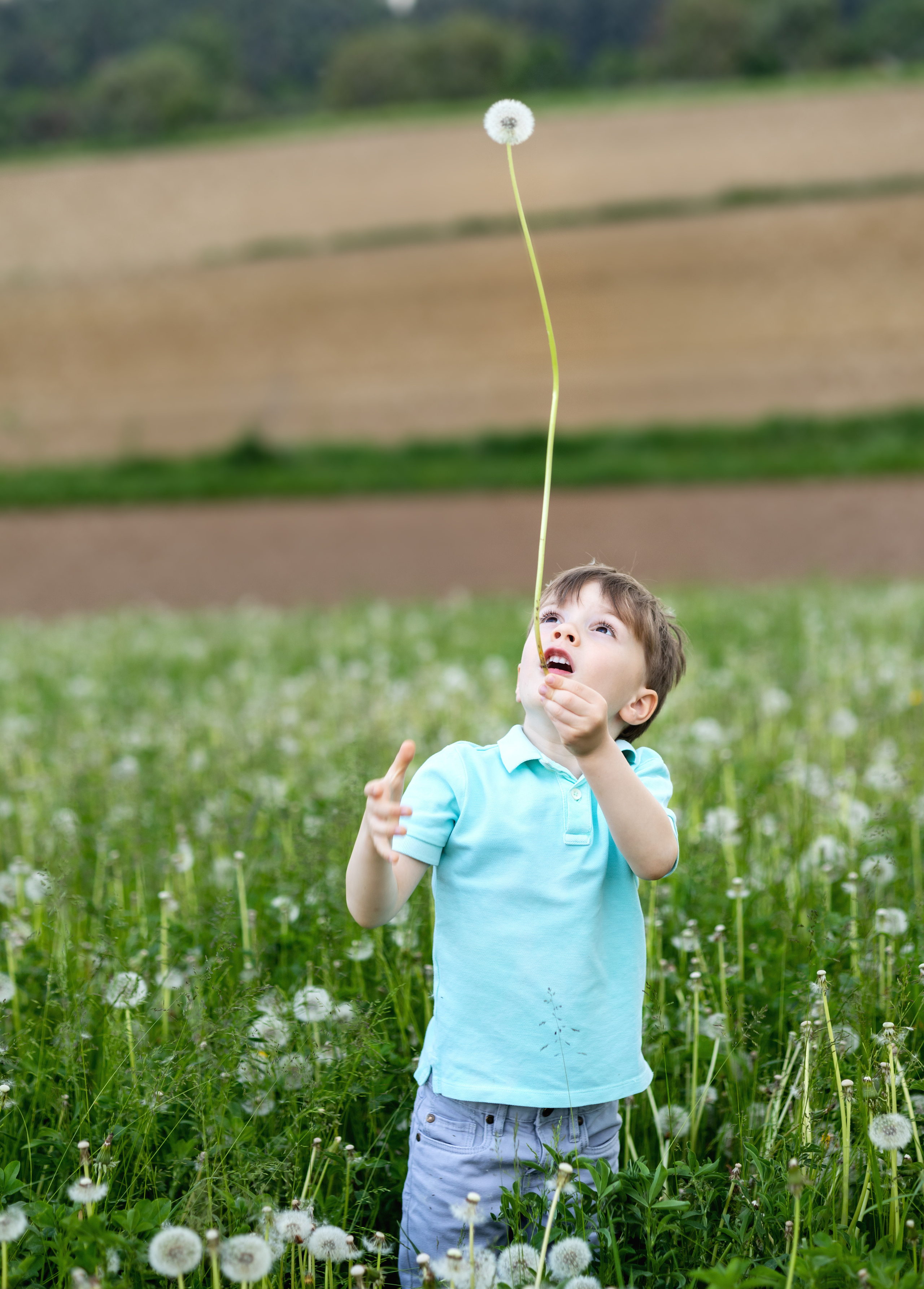 Дети — цветы жизни. Портретная и индивидуальная фотосъёмка в Граце и Тюмени