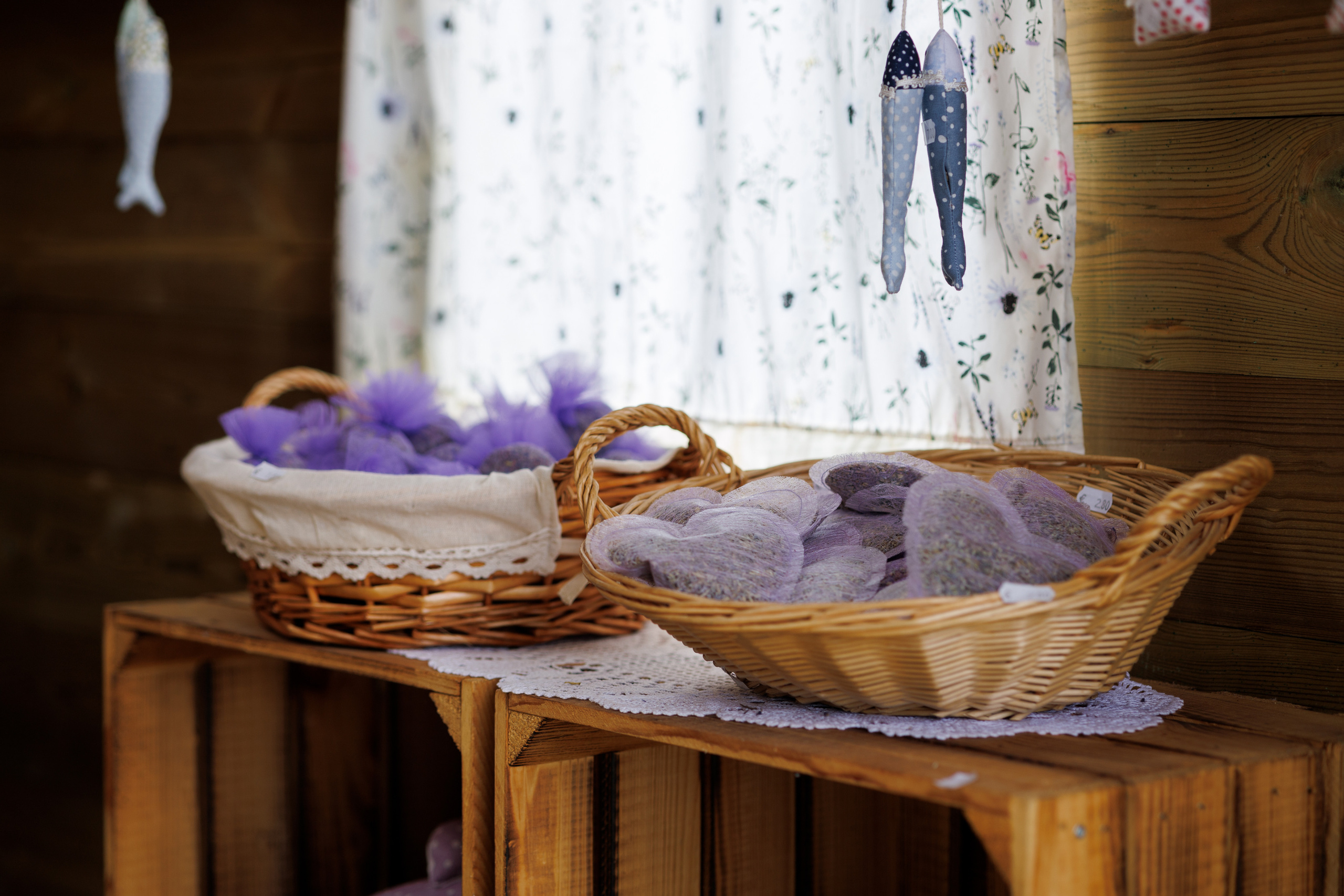 Лавандовый бизнес. Портретная и индивидуальная фотосъёмка в Граце и Тюмени