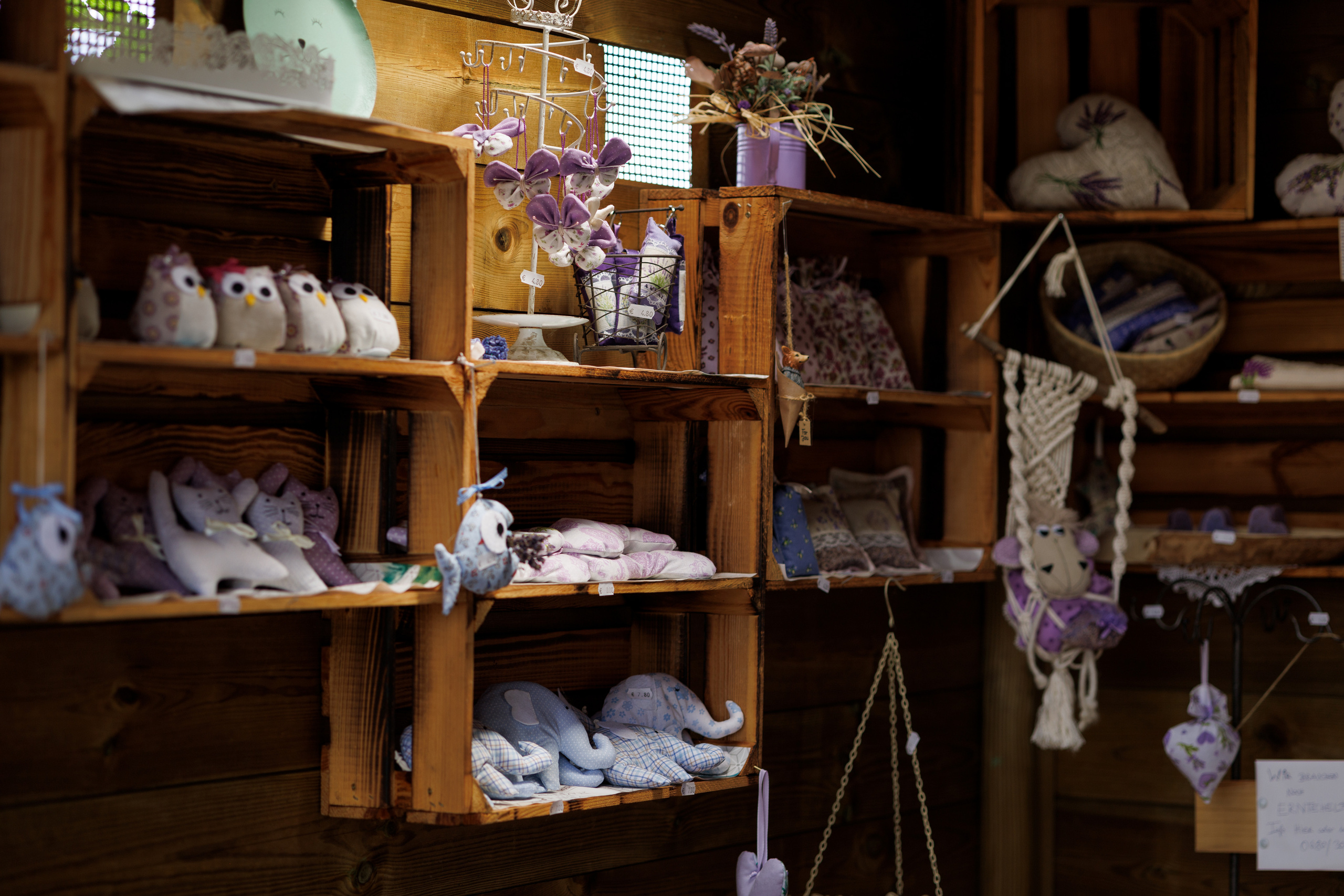 Лавандовый бизнес. Портретная и индивидуальная фотосъёмка в Граце и Тюмени