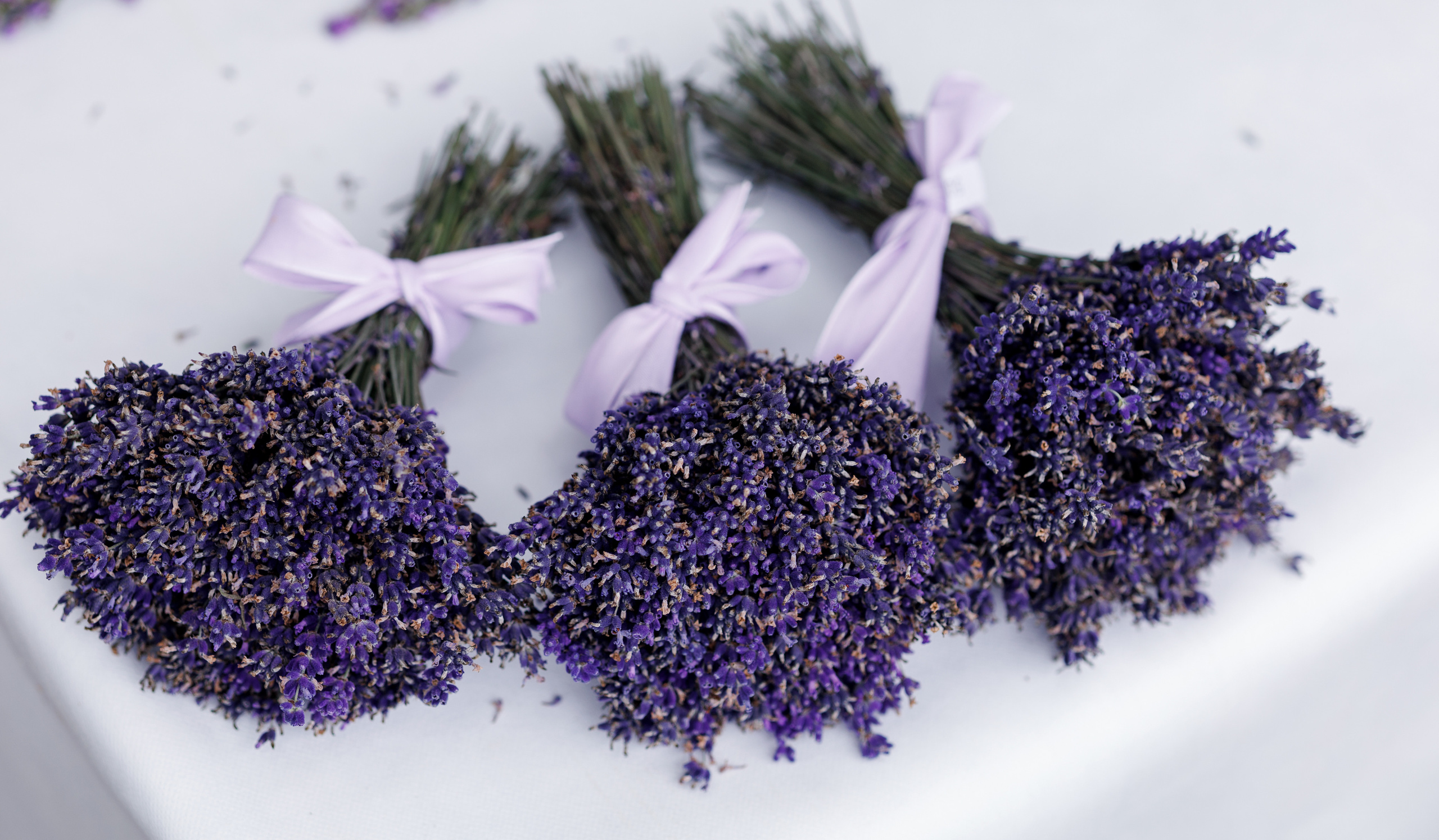 Лавандовый бизнес. Портретная и индивидуальная фотосъёмка в Граце и Тюмени