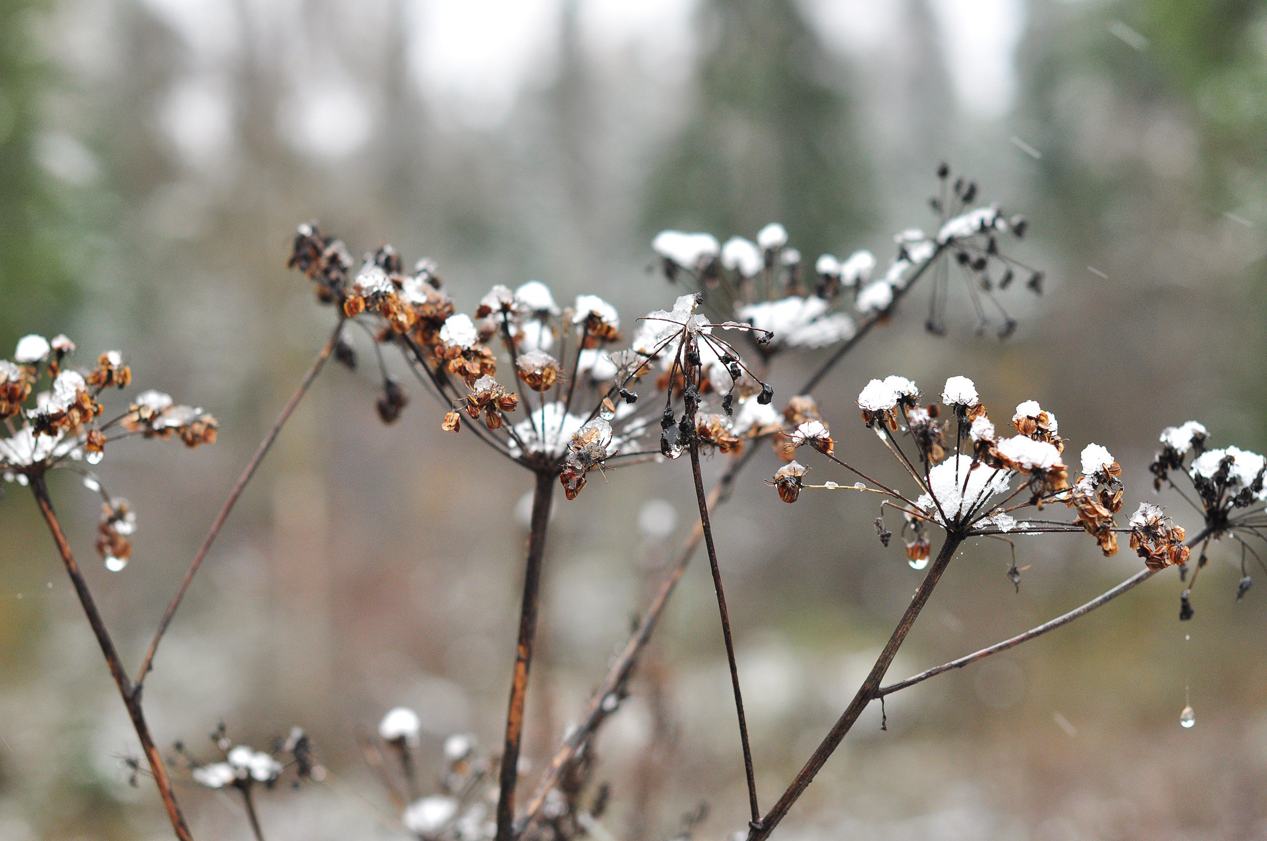 Landscape фото. Фотограф и художник Kerry Moore