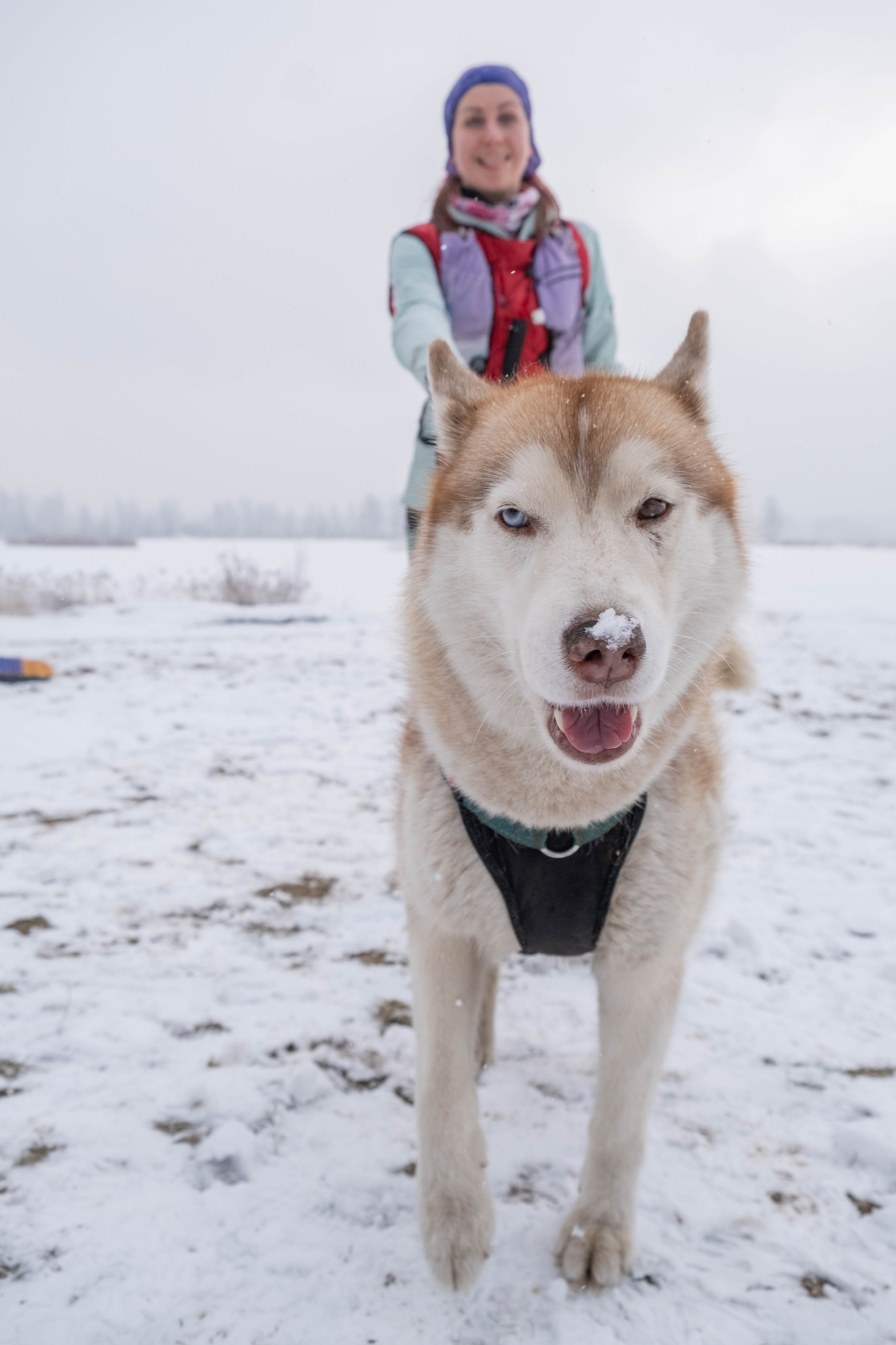 Марафон у Дома. Фотограф Диана Иремадзе