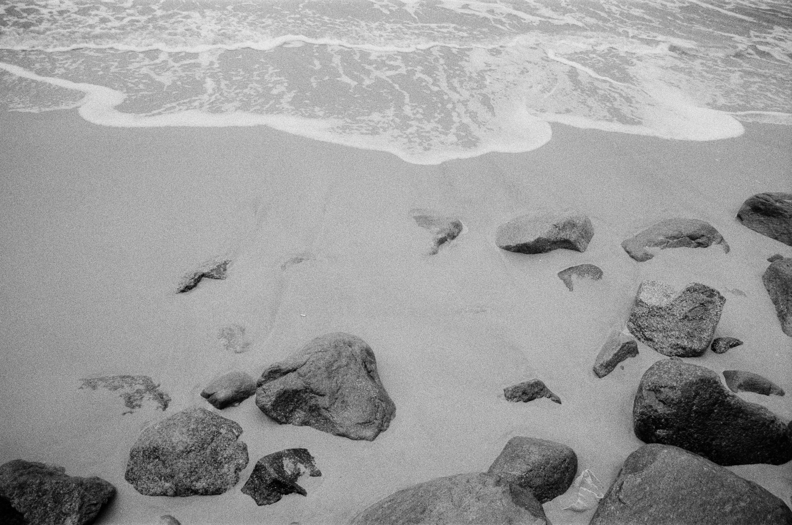 Пленка ЧБ. Фотограф Соня с Земли