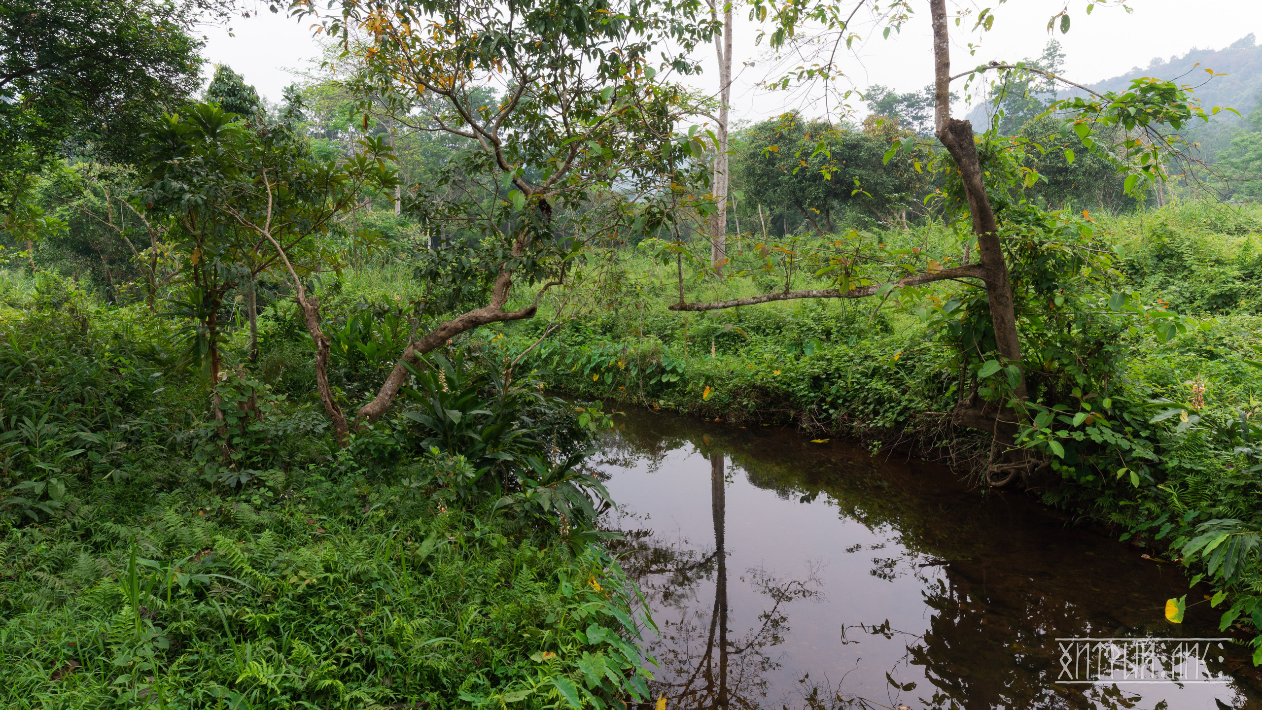 Вьетнам. Фотограф-путешественник Самойлов Максим «Sly Fox»