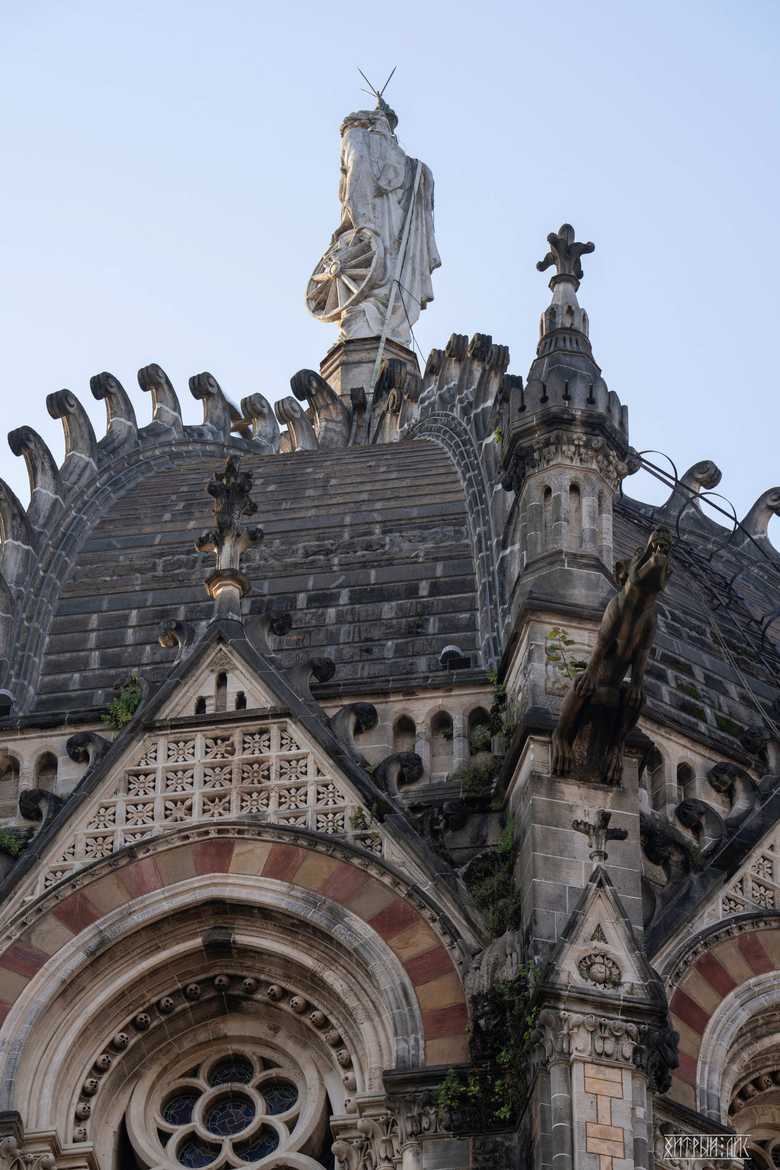 Гоа-Мумбаи. Фотограф-путешественник Самойлов Максим «Sly Fox»