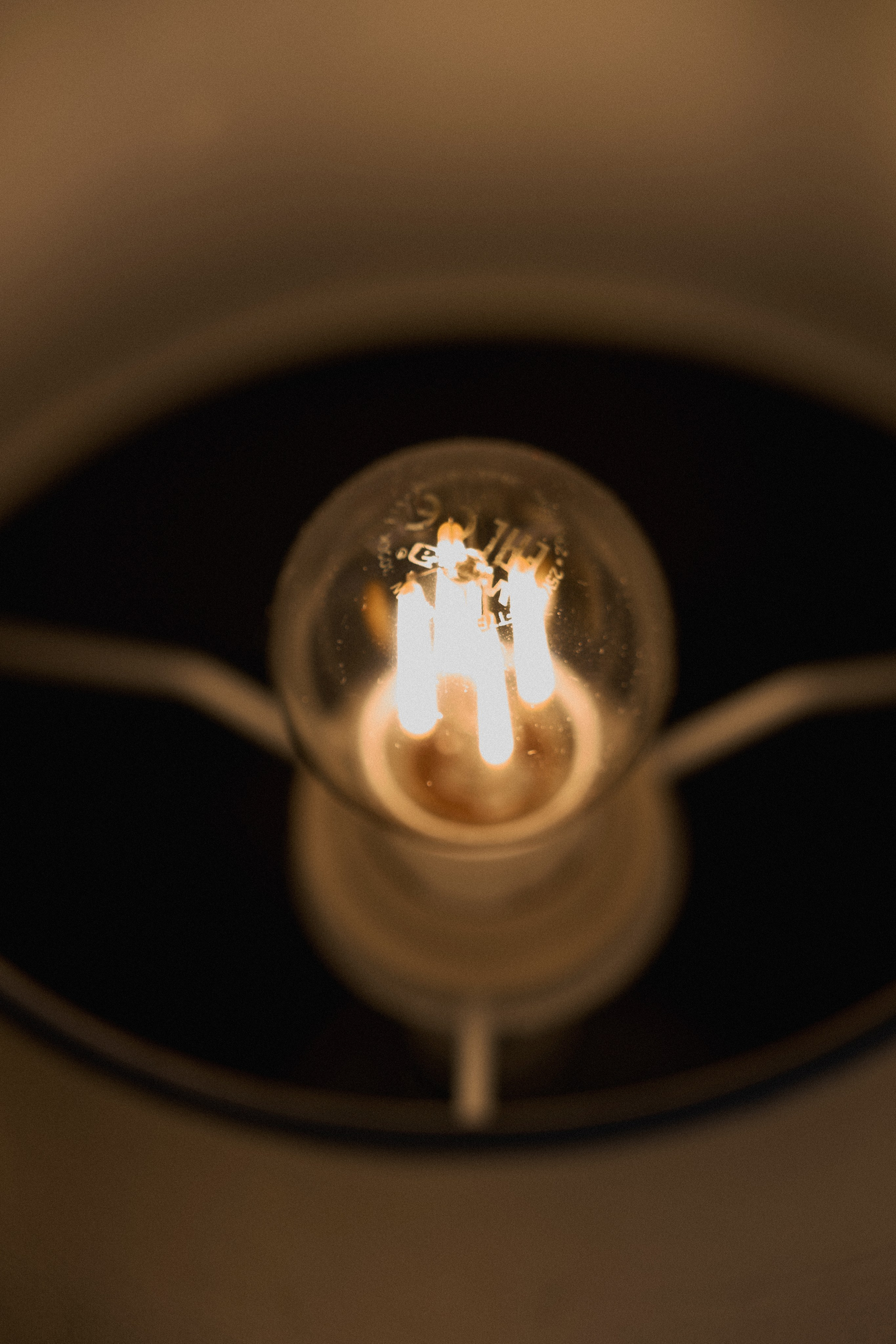 Максим и Анжелика. Фотограф из Владивостока Юлия Черепова