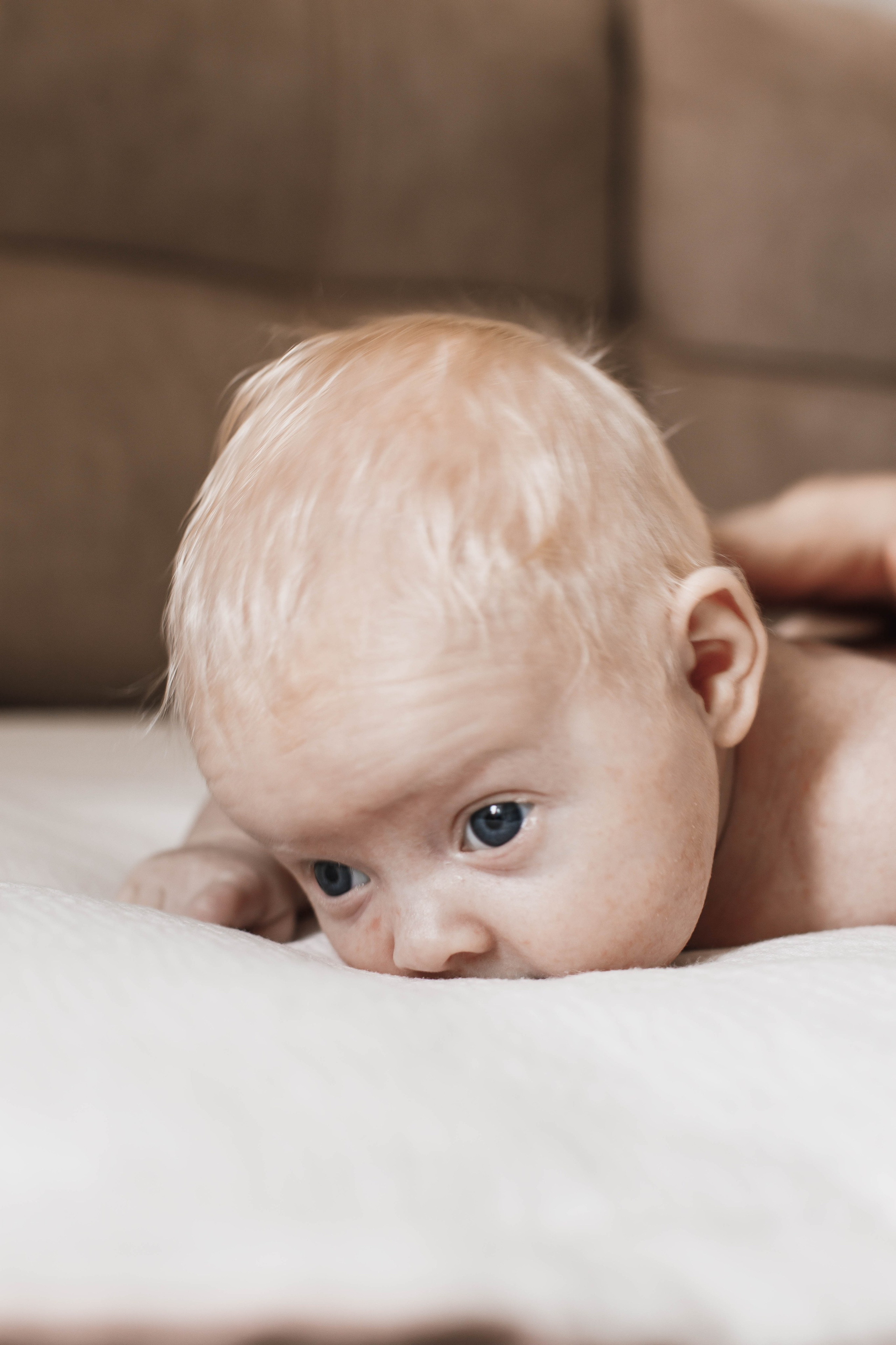 Пупсики. Фотограф в Нижнем Новгороде