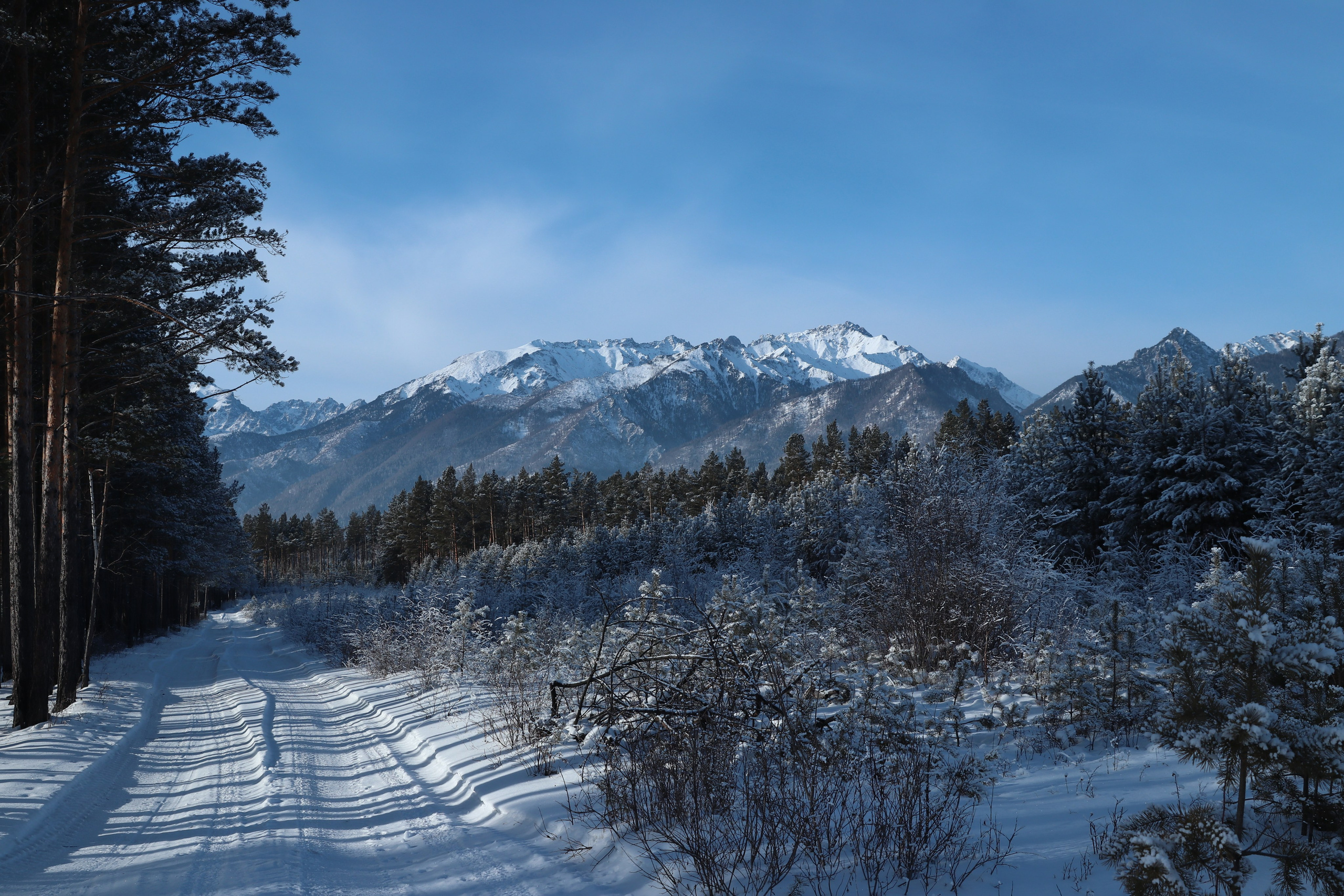 Аршан. Январь 2024. Путешественник-фотограф из Санкт-Петербурга Татьяна Свистулина