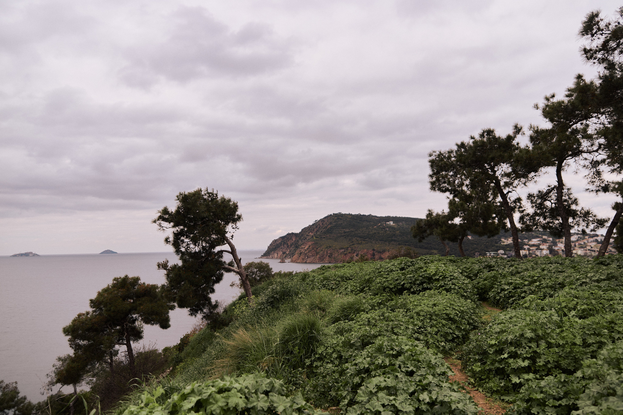 Улица горизонтальная. Jorgis — фотограф в Хургаде / обучение фотографии