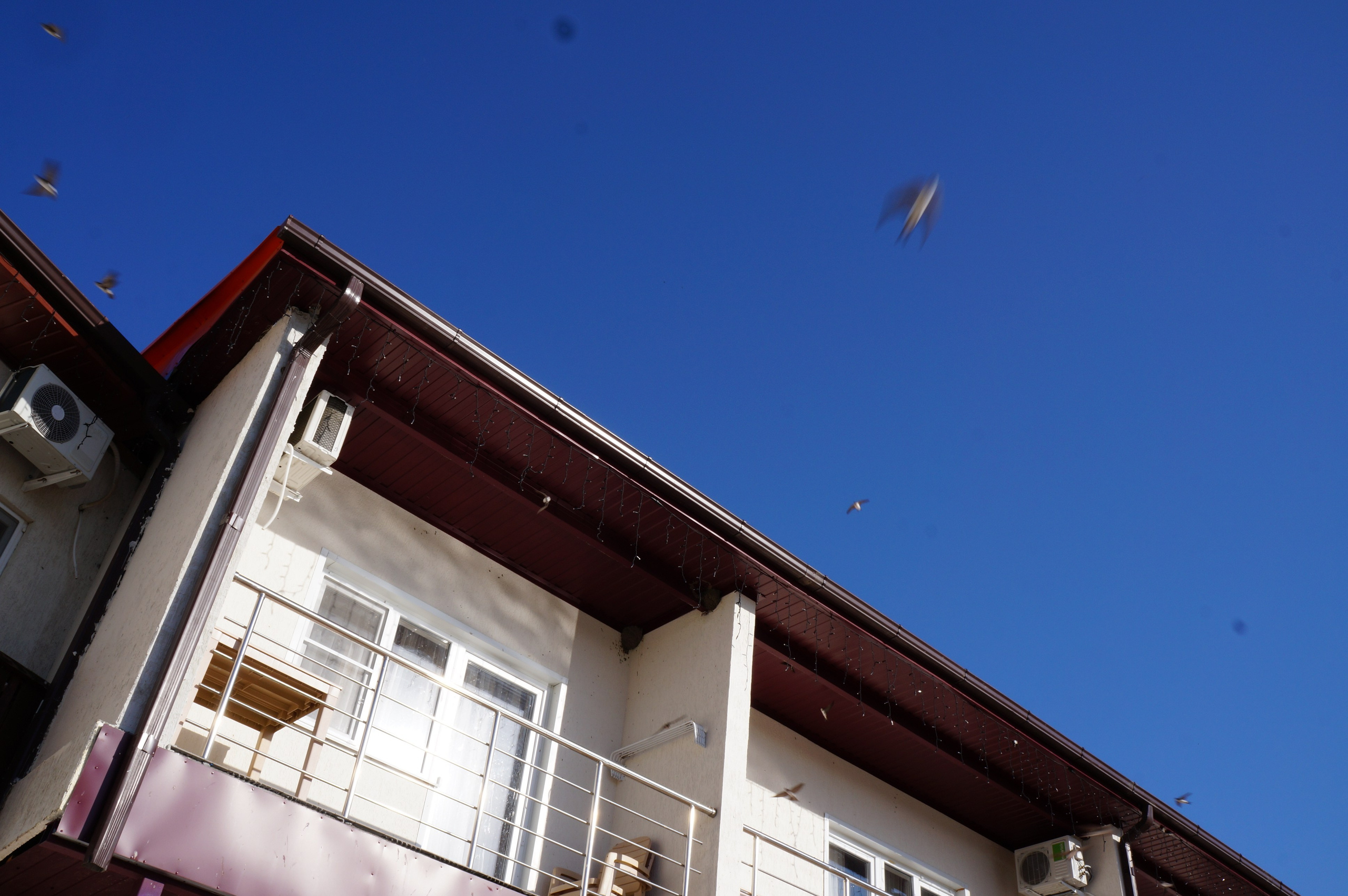 Фотографии термального источника август