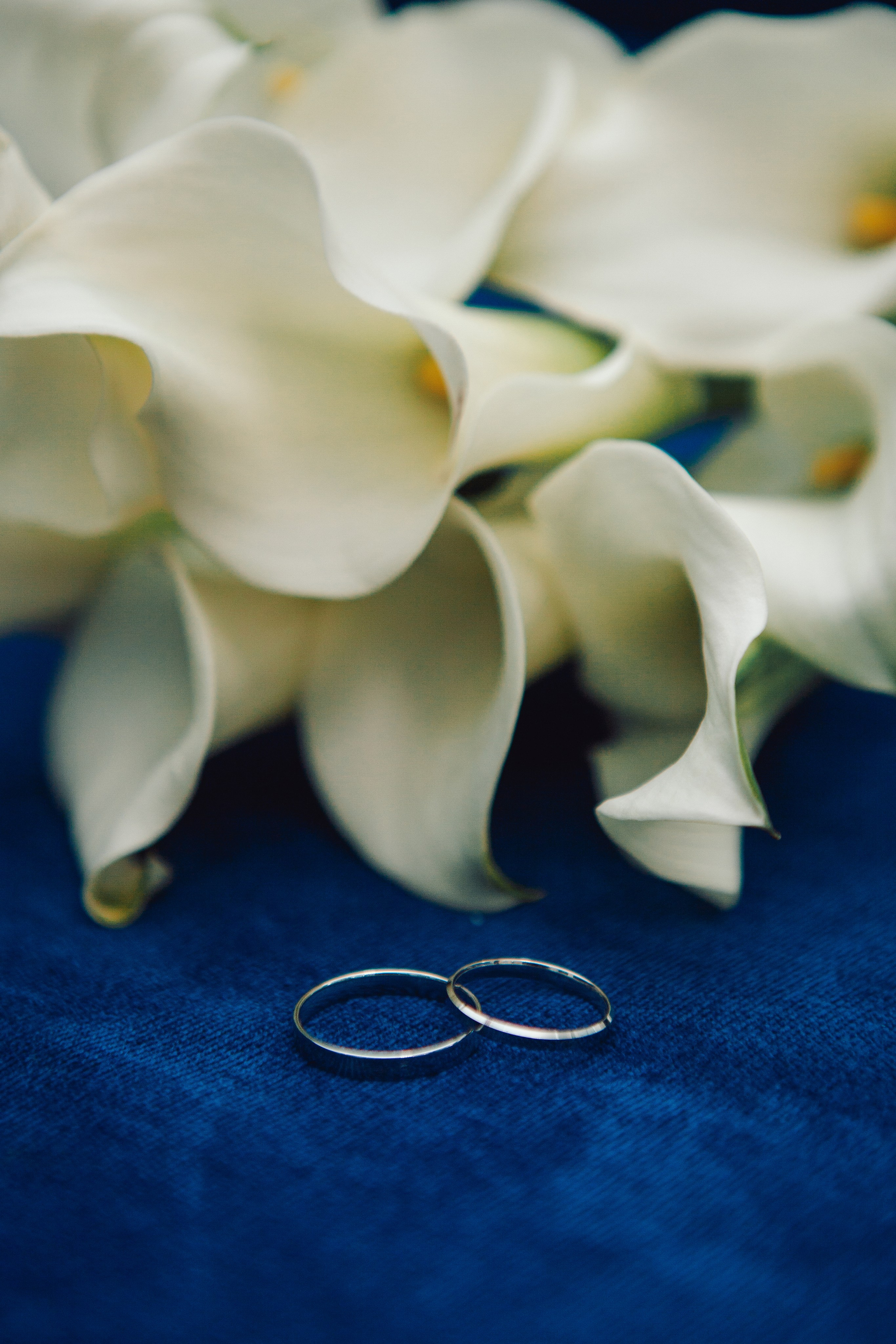 Роспись в Кутузовском ЗАГСе. Фотограф Ольга Ефремова