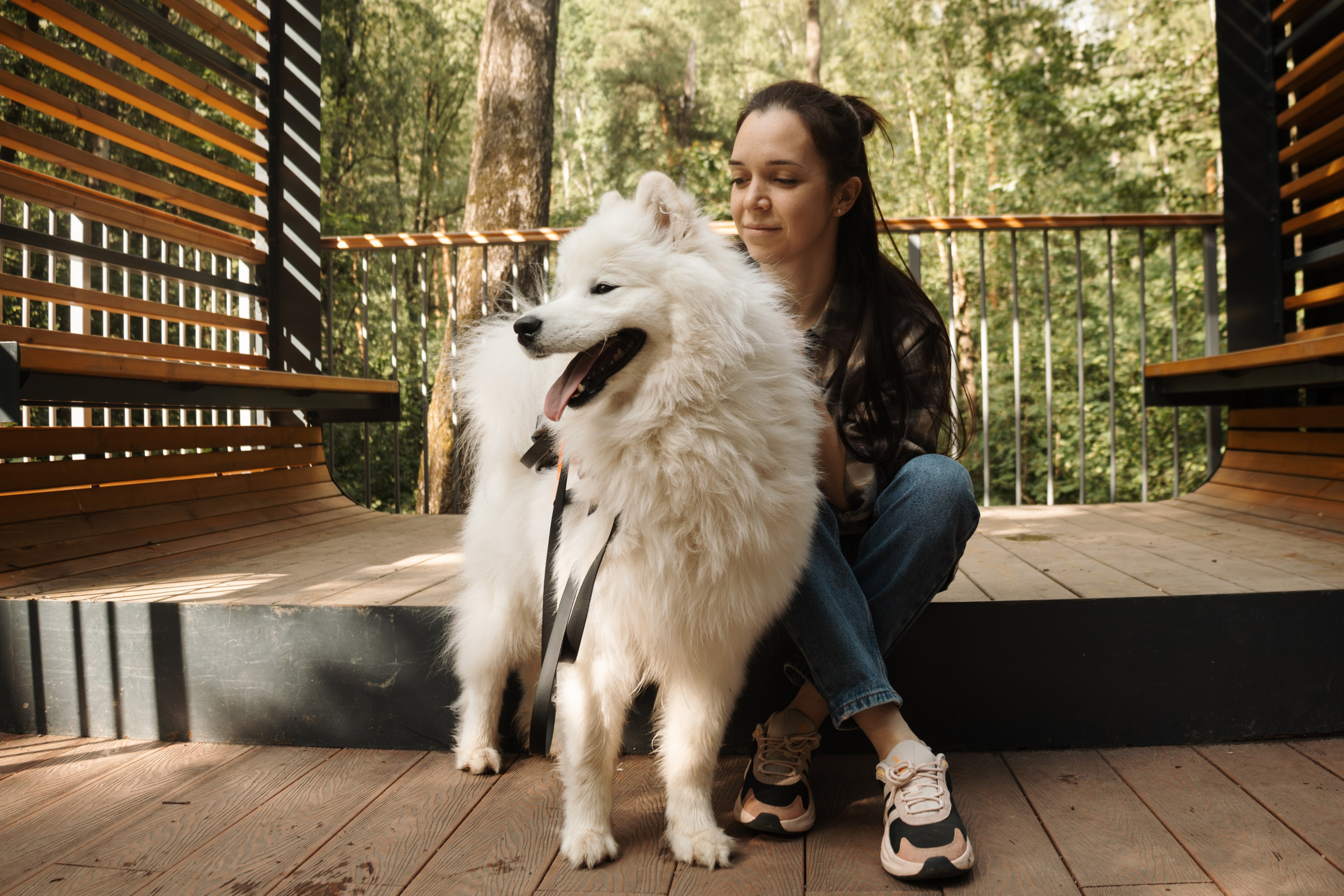 Фотосессия девушки с 2 собаками самоедами в лесопарке. Фотограф-анималист в Москве Екатерина Тихонова