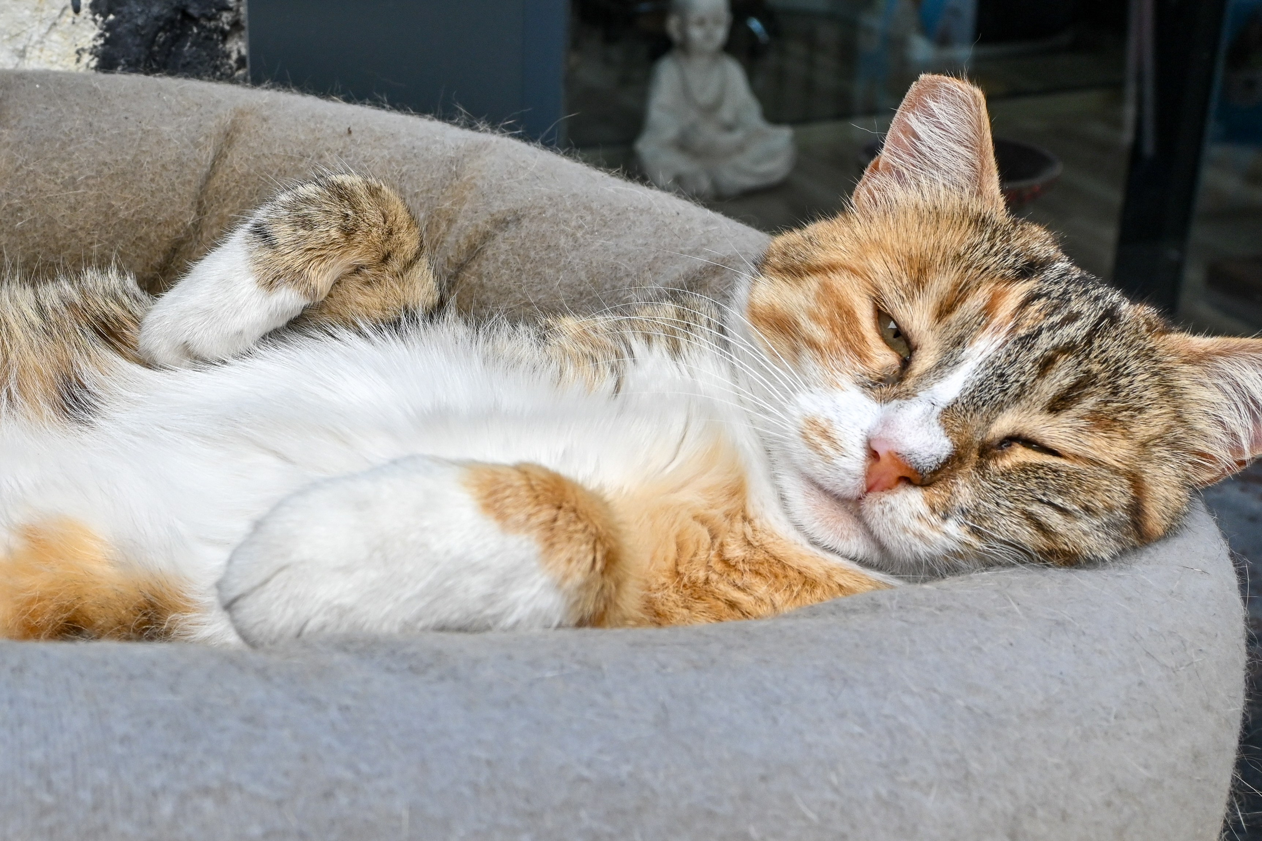 Тревел фото