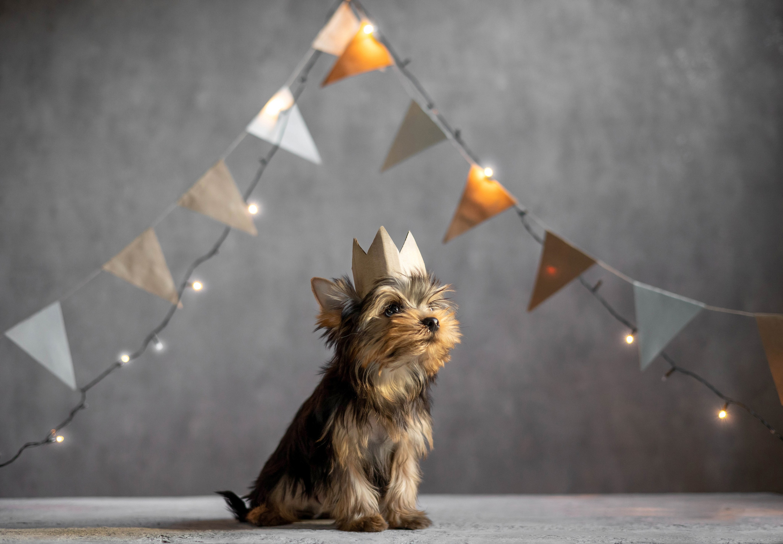 Йося. Главная