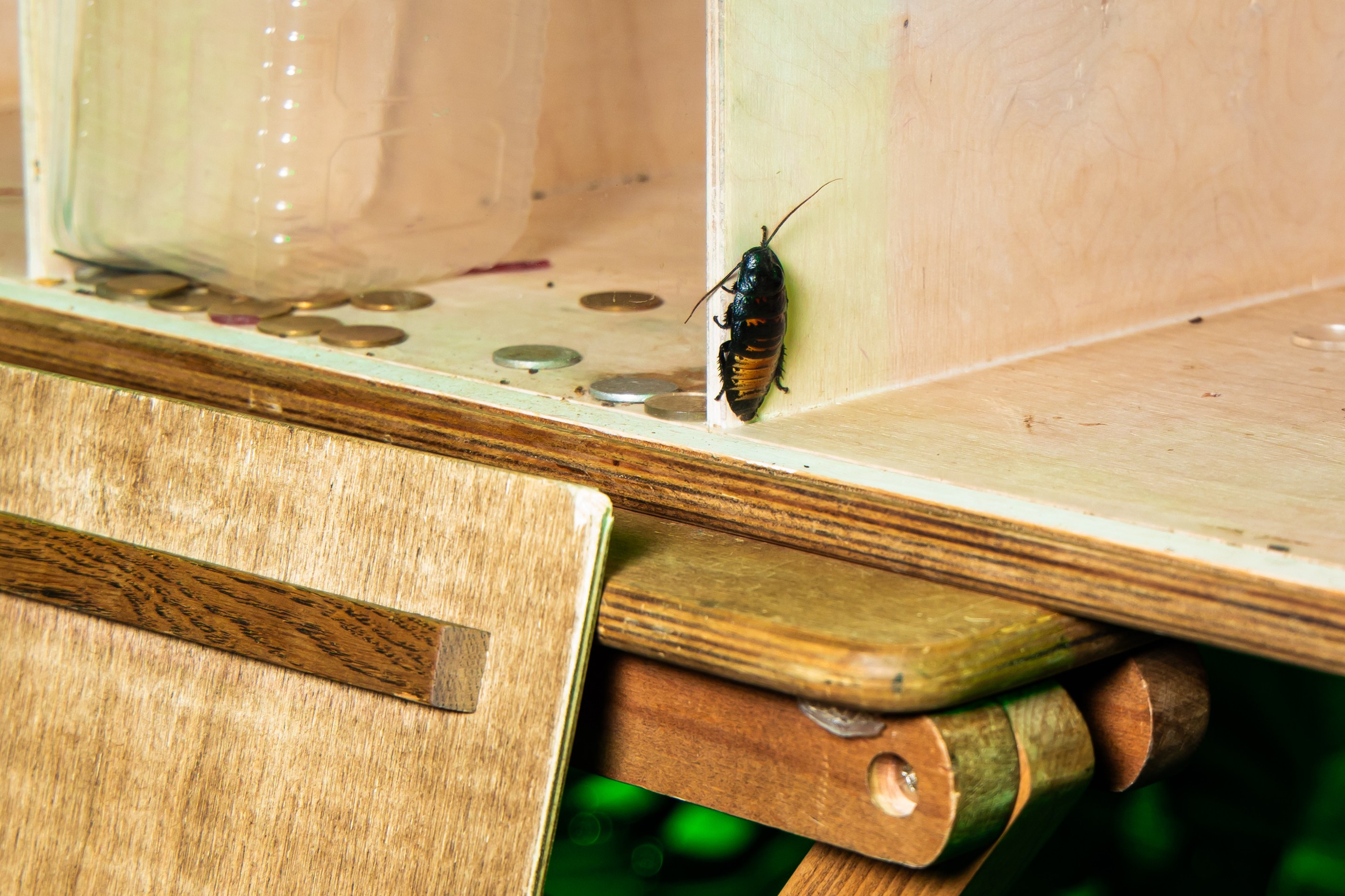 Форт Боярд 11/04 Eventovo. Виктория Литвинова репортажный фотограф Москва