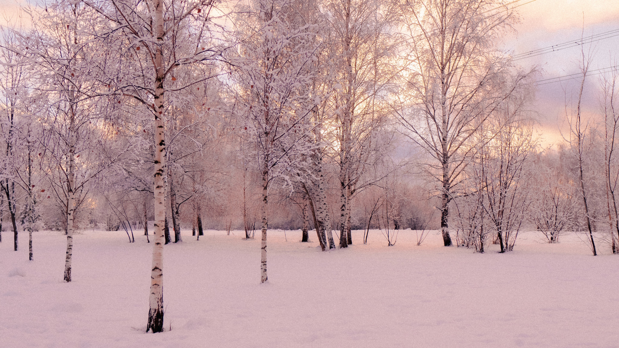 Зимняя сказка. Фёдор Малюгин. Ваш бади в визуале