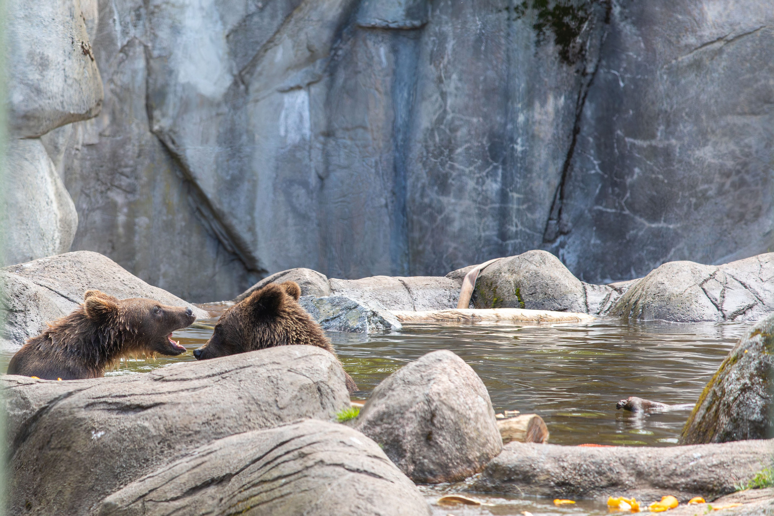 Sweden, Skansen. Воройская Анна