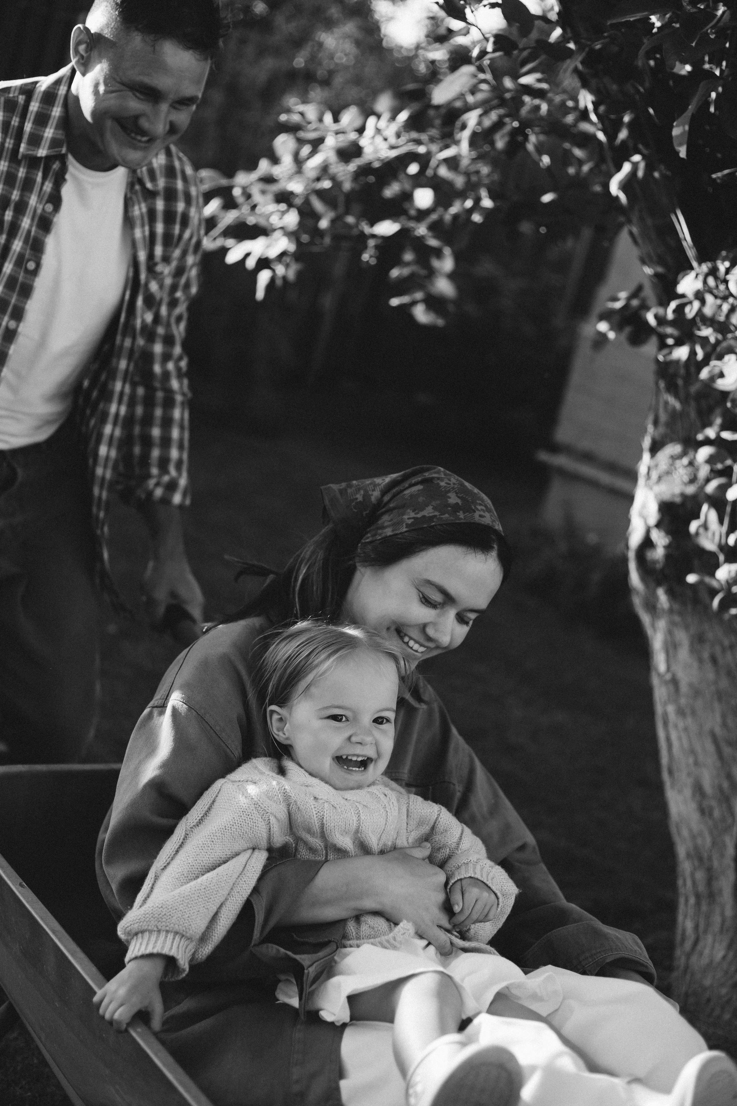 Дача. Главная